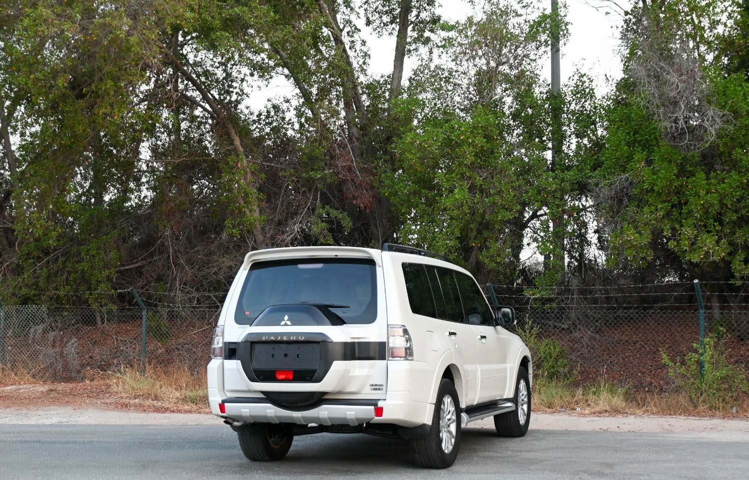 2018 Mitsubishi Pajero photo 5