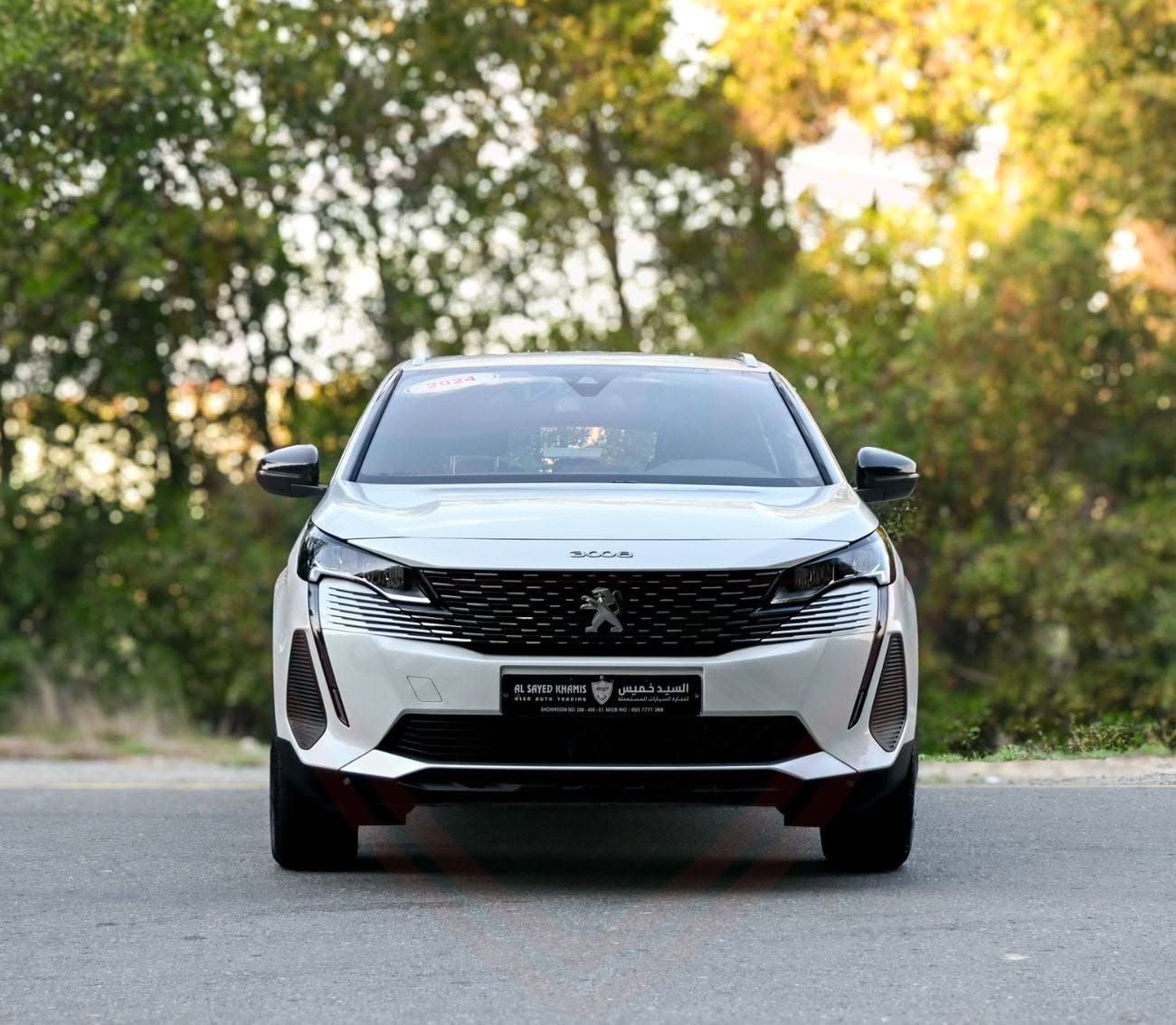 2024 Peugeot 3008 photo 2