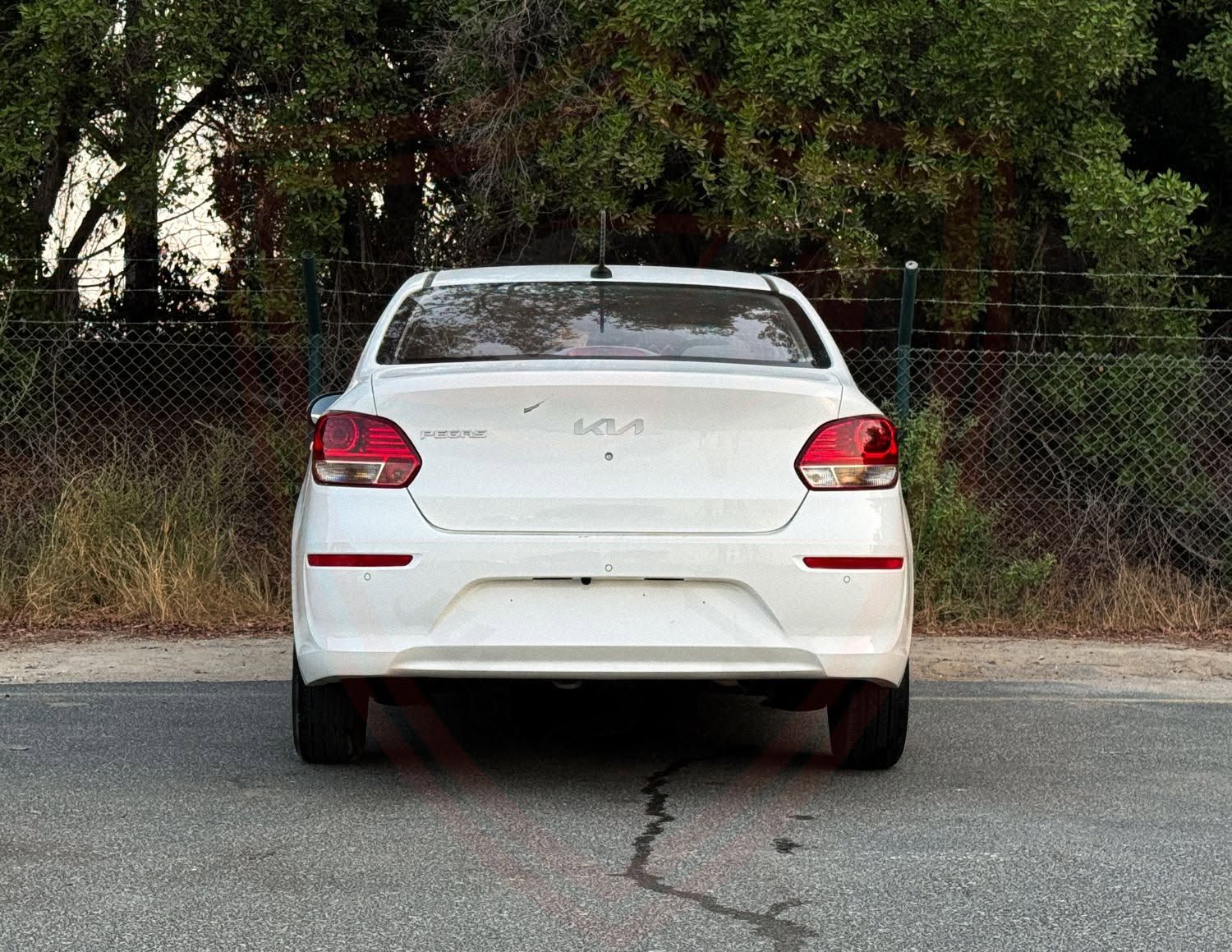 2024 Kia Pegas photo 5