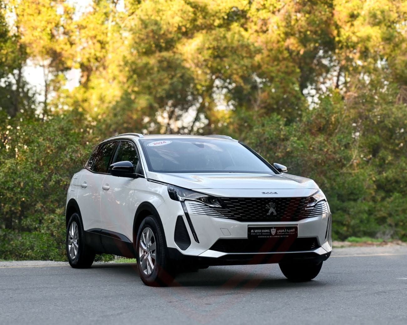 2024 Peugeot 3008