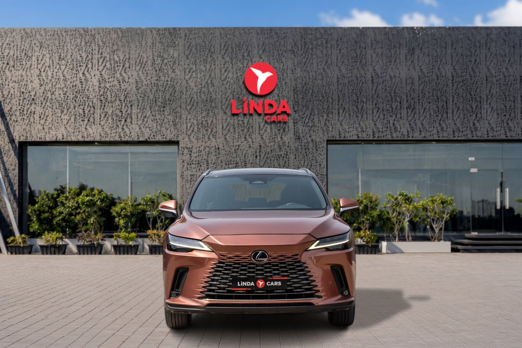2023 Lexus RX photo 2