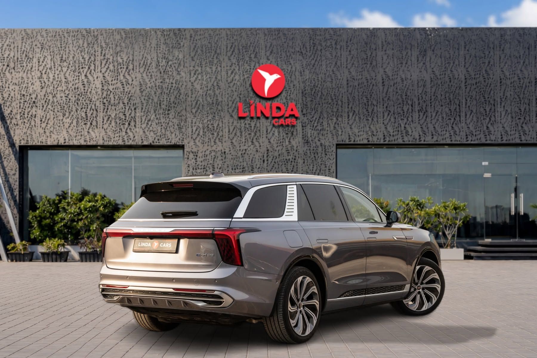 2024 Hongqi HS9 photo 2
