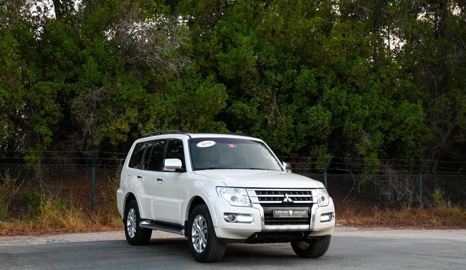 2018 Mitsubishi Pajero photo 2