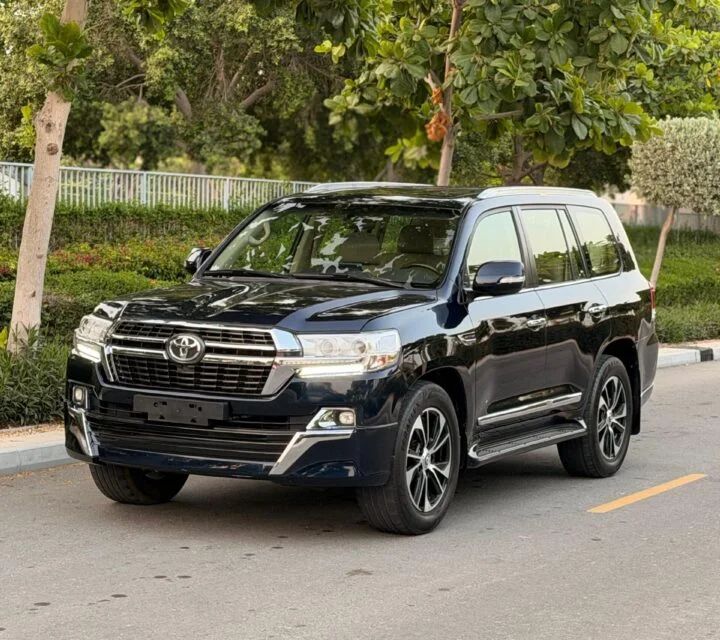 2019 Toyota Land Cruiser photo 2