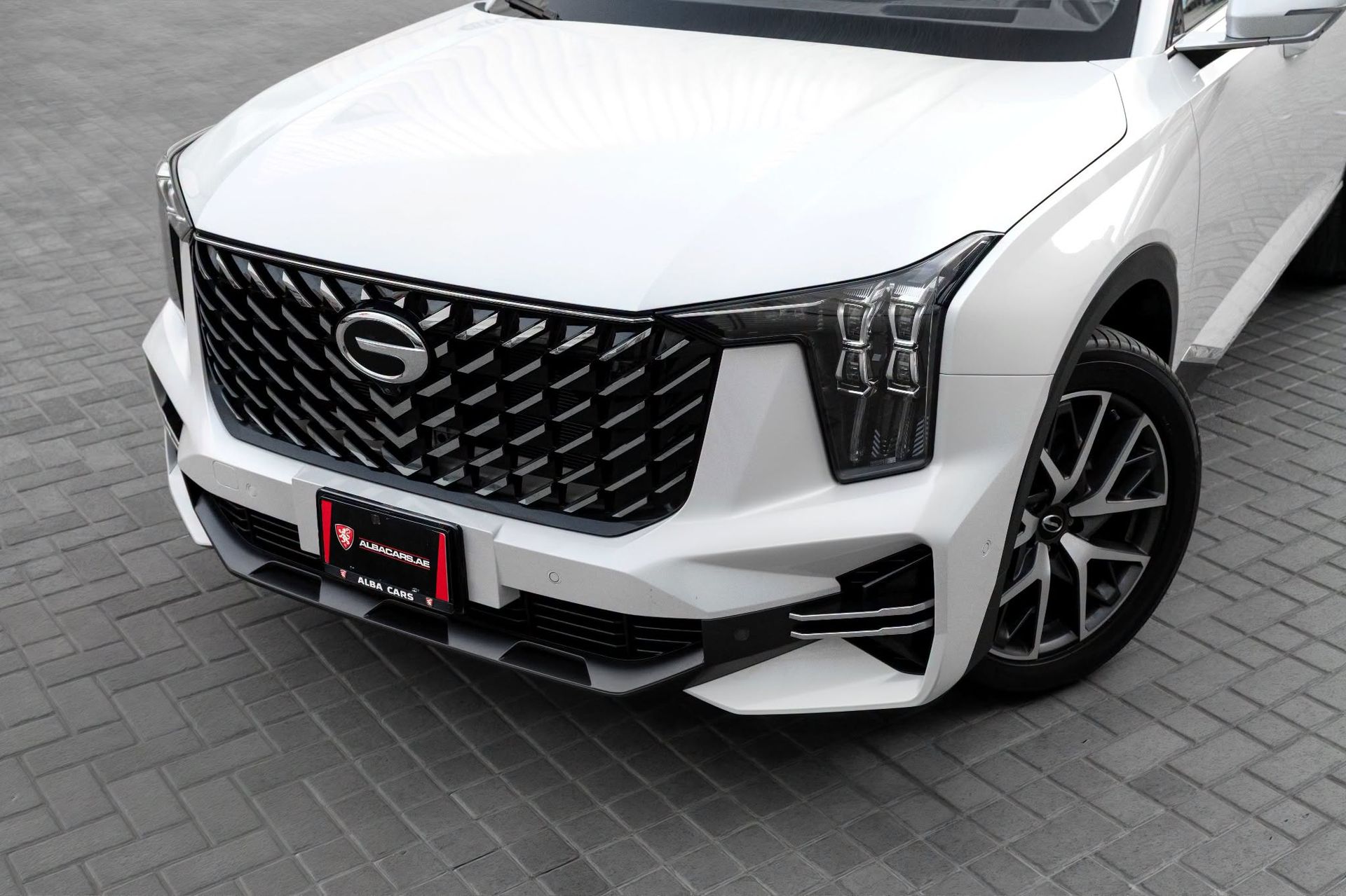 2025 GAC GS8 photo 5
