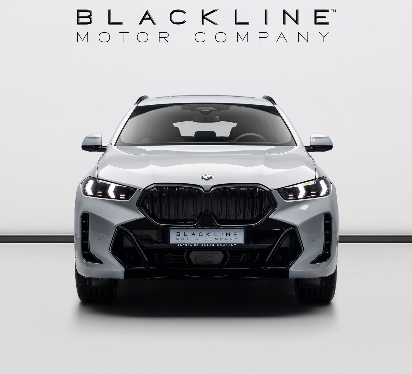 2025 BMW X6