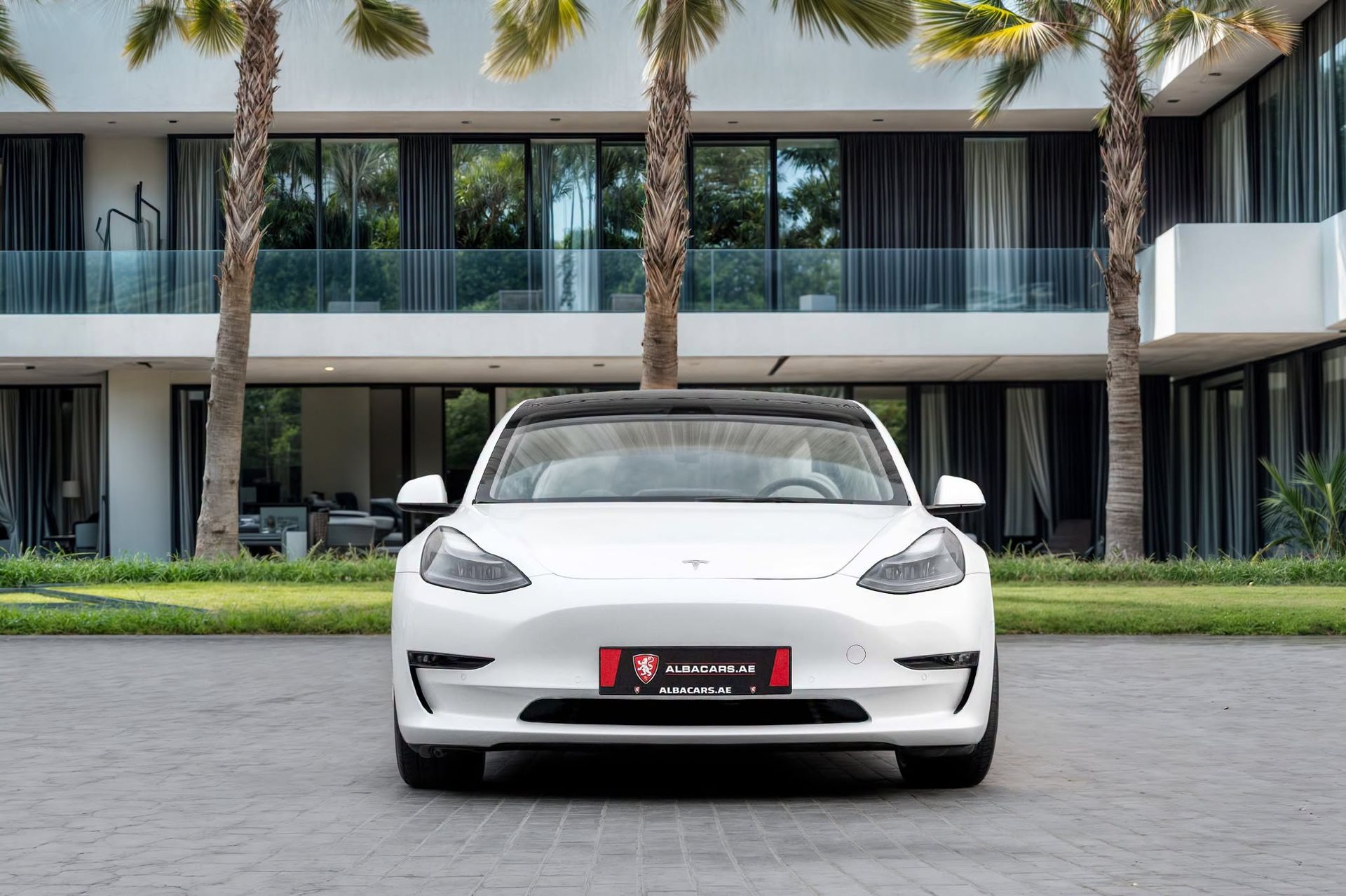 2021 Tesla Model 3 photo 2