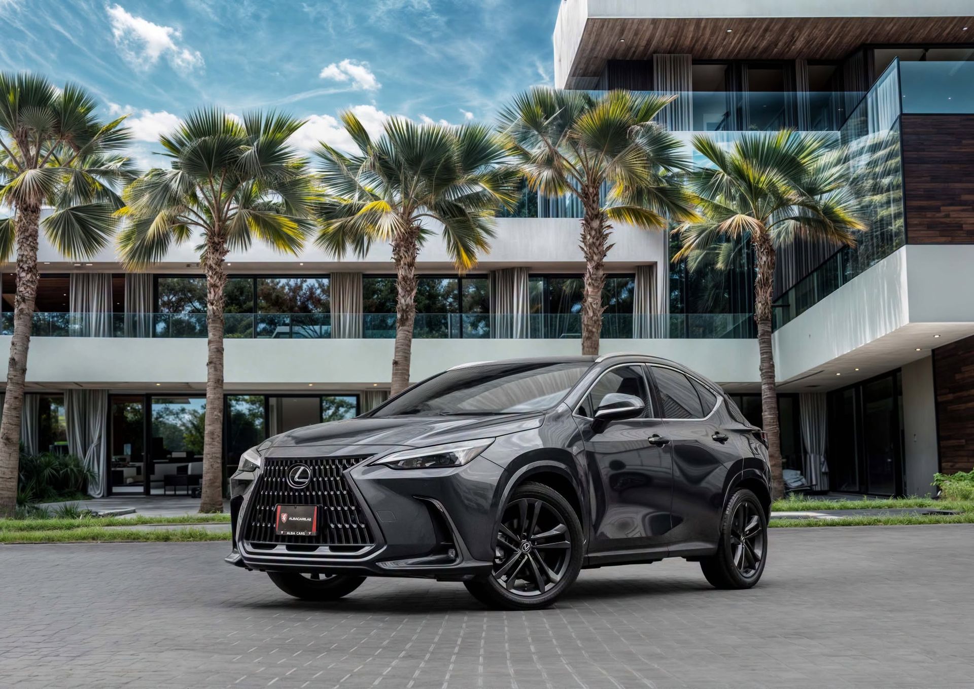 2025 Lexus NX
