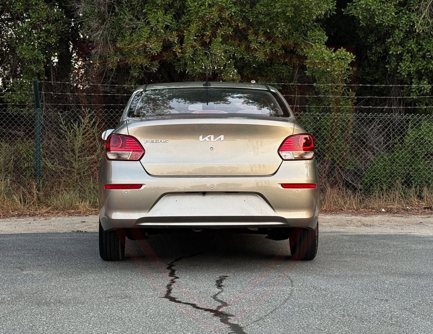 2024 Kia Pegas photo 5