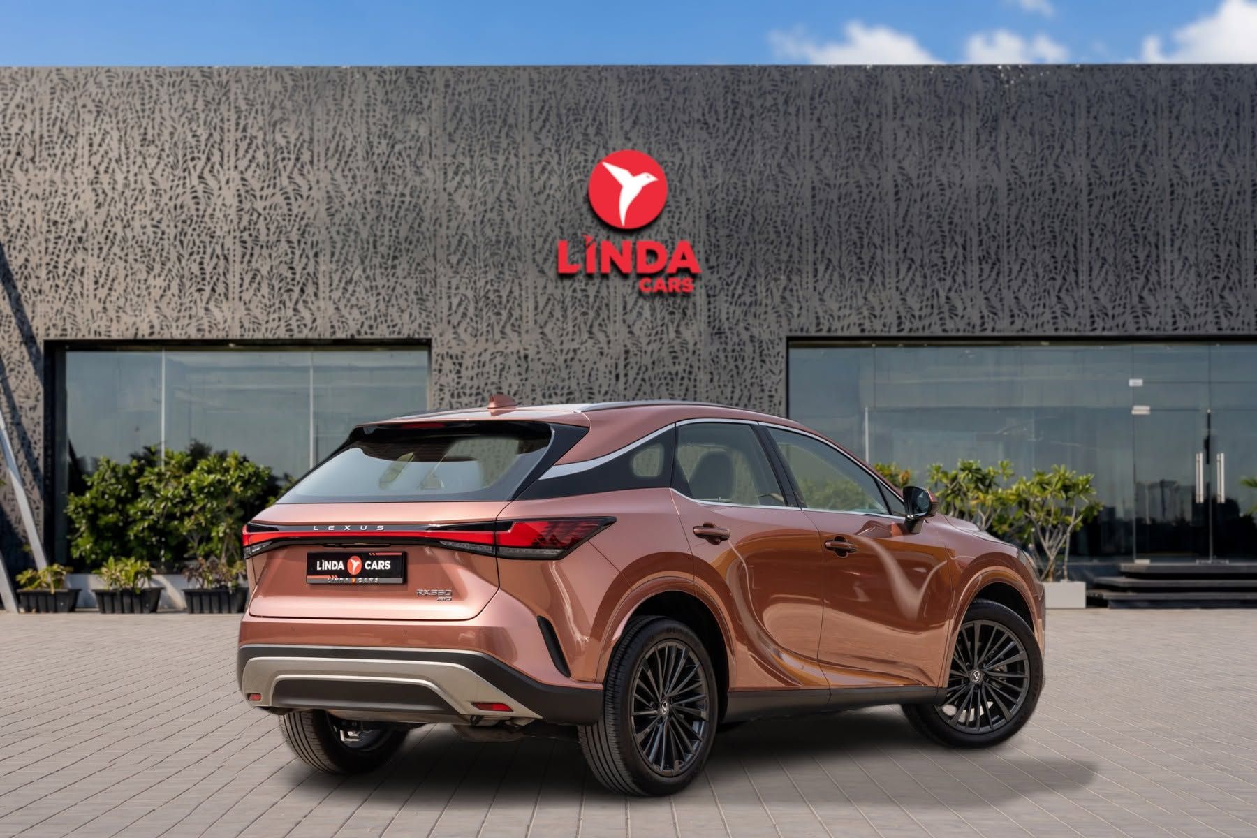 2023 Lexus RX photo 4