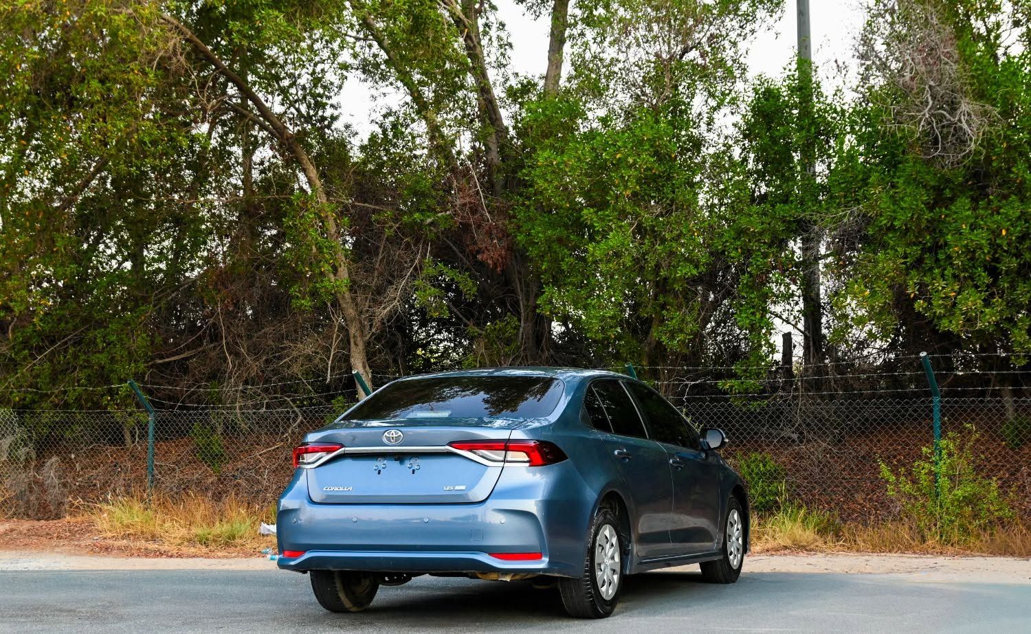 2024 Toyota Corolla photo 4