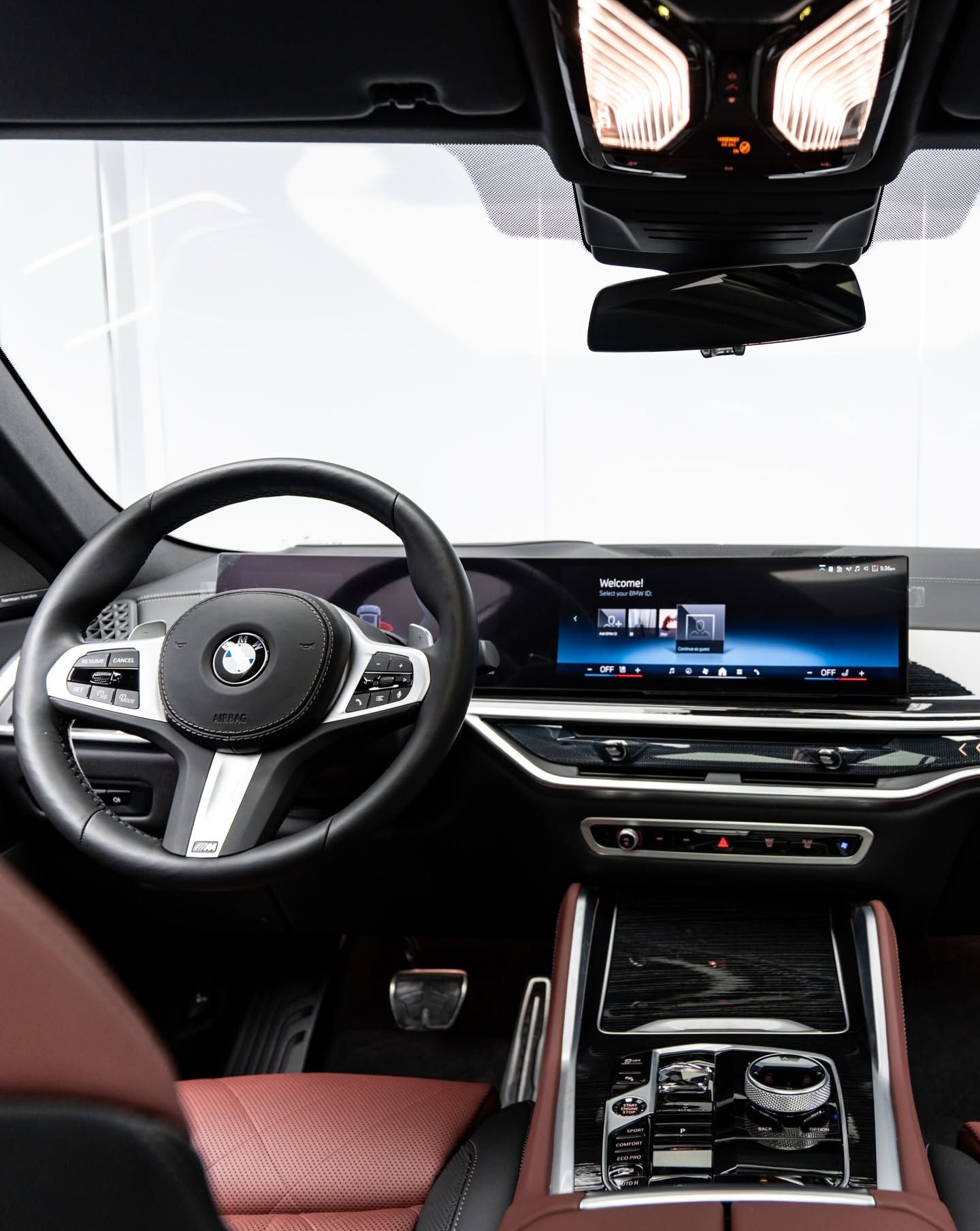 2025 BMW X6 photo 4