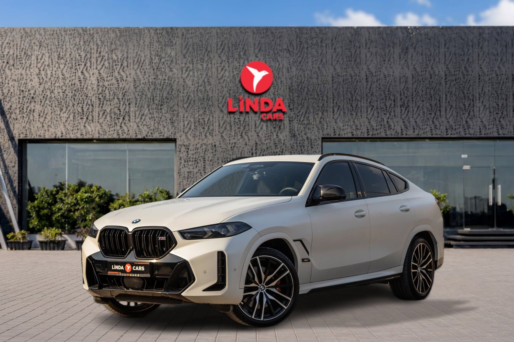 2025 BMW X6