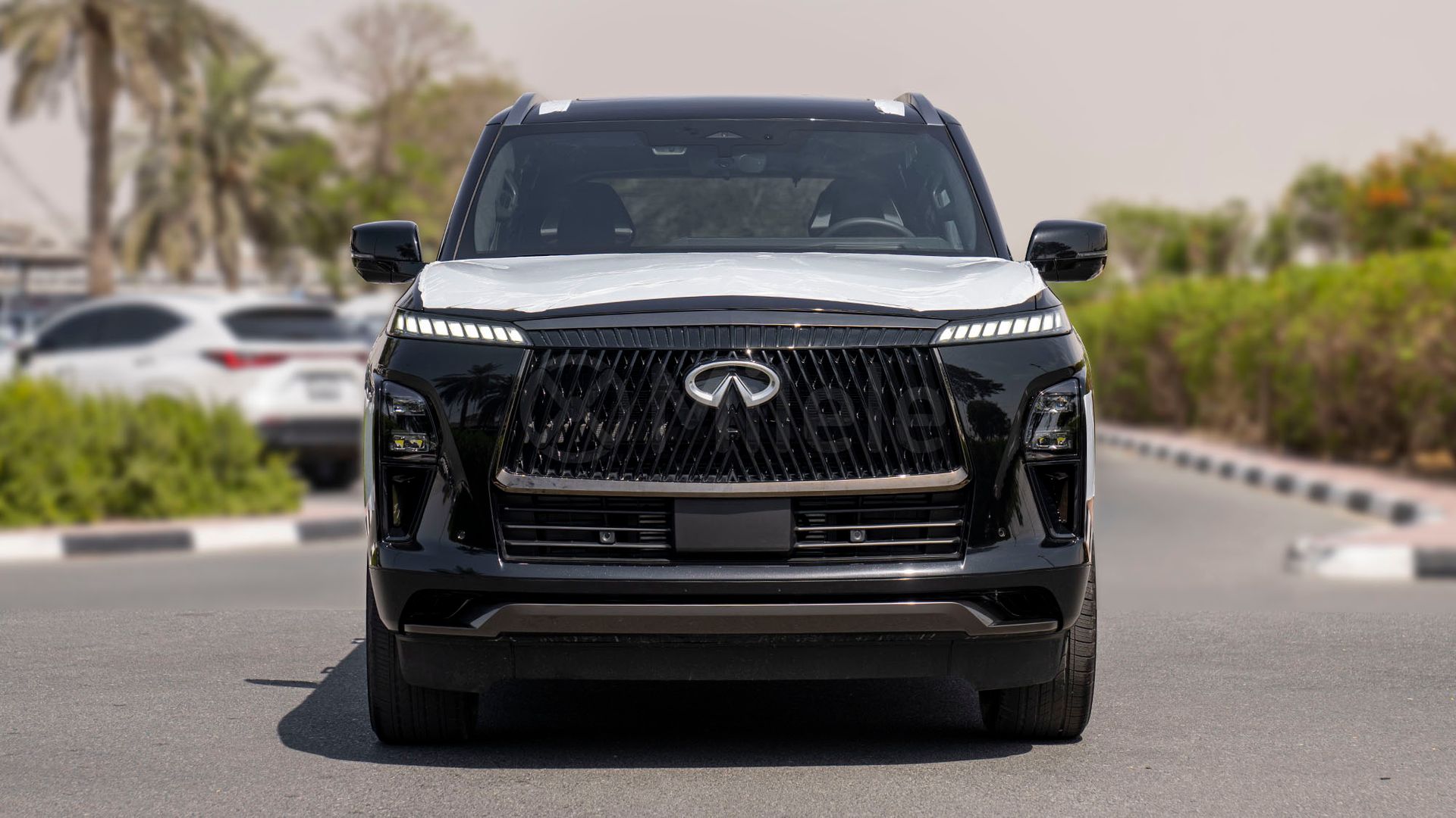 2025 Infiniti QX80