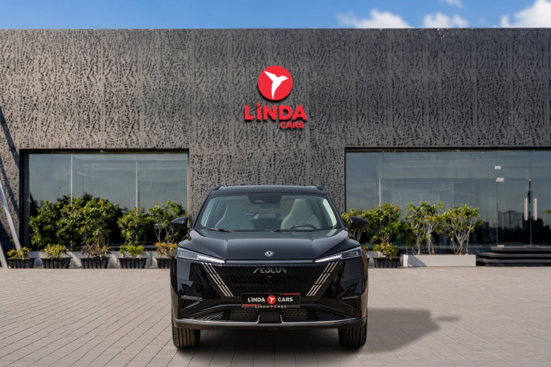 2025 Dongfeng Mage photo 2