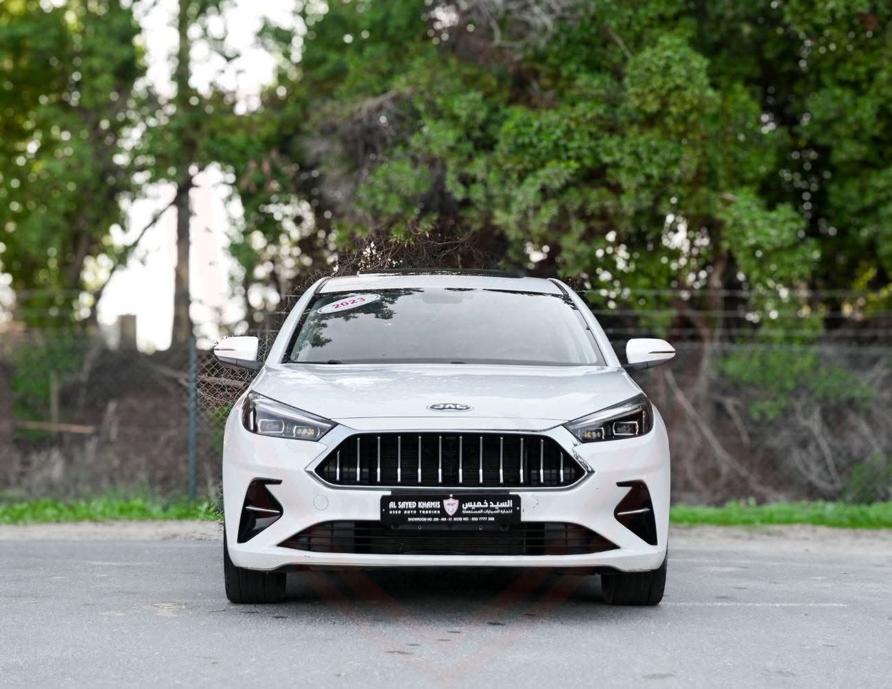 2023 Jac JAC J7 photo 3