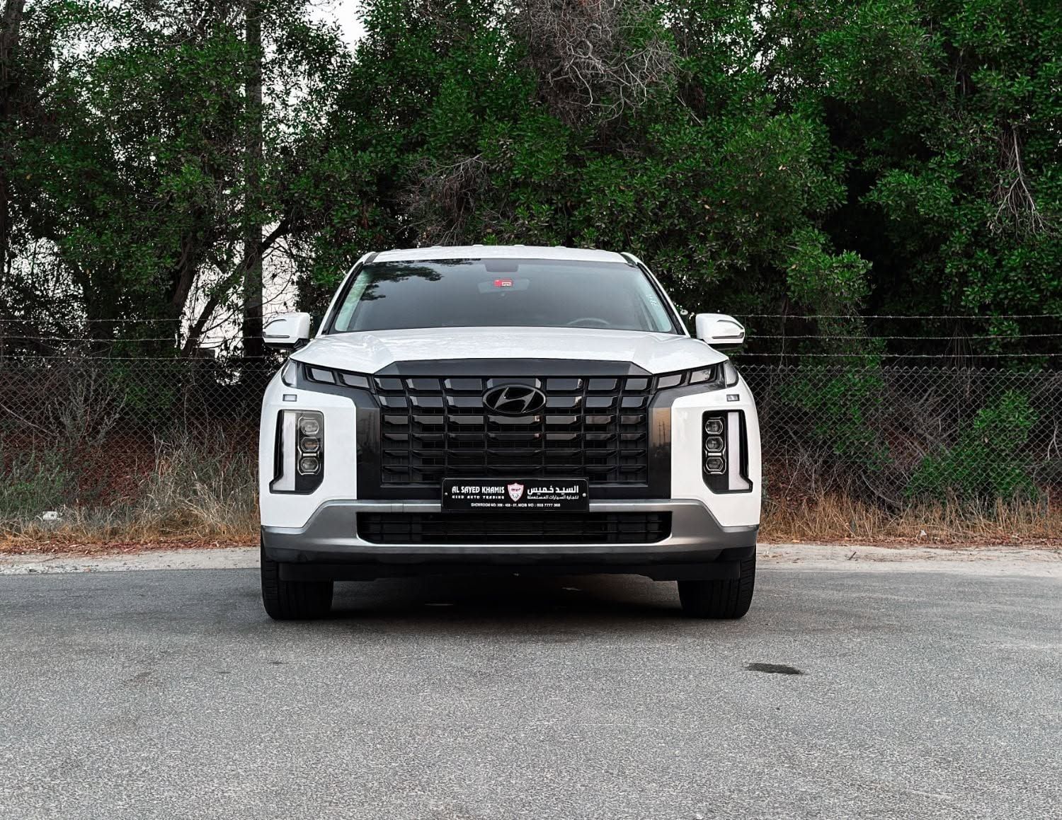 2023 Hyundai Palisade photo 2