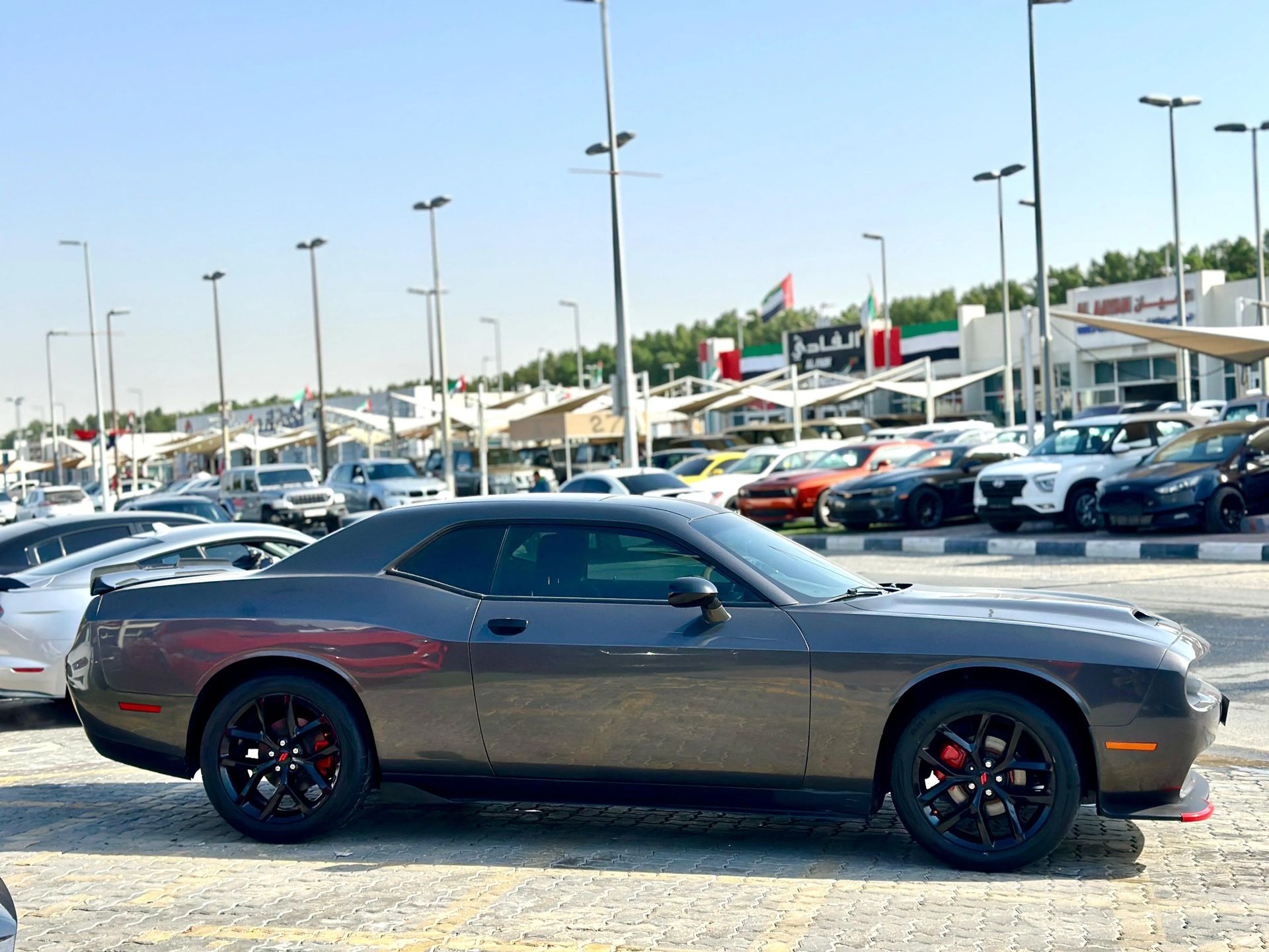 2019 Dodge Challenger photo 4