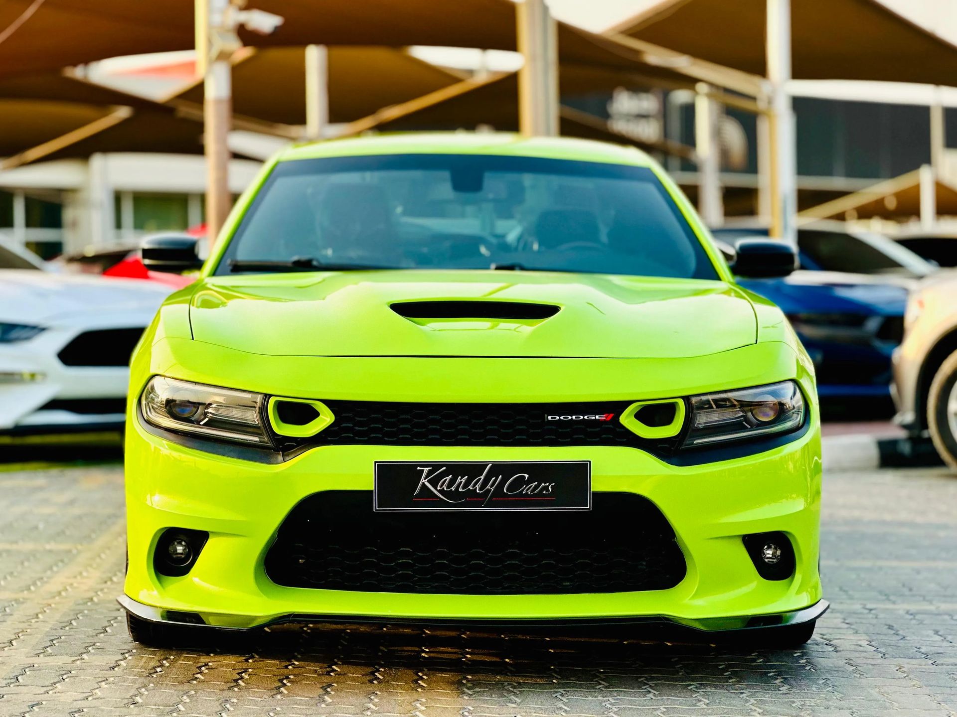 2019 Dodge Charger photo 2