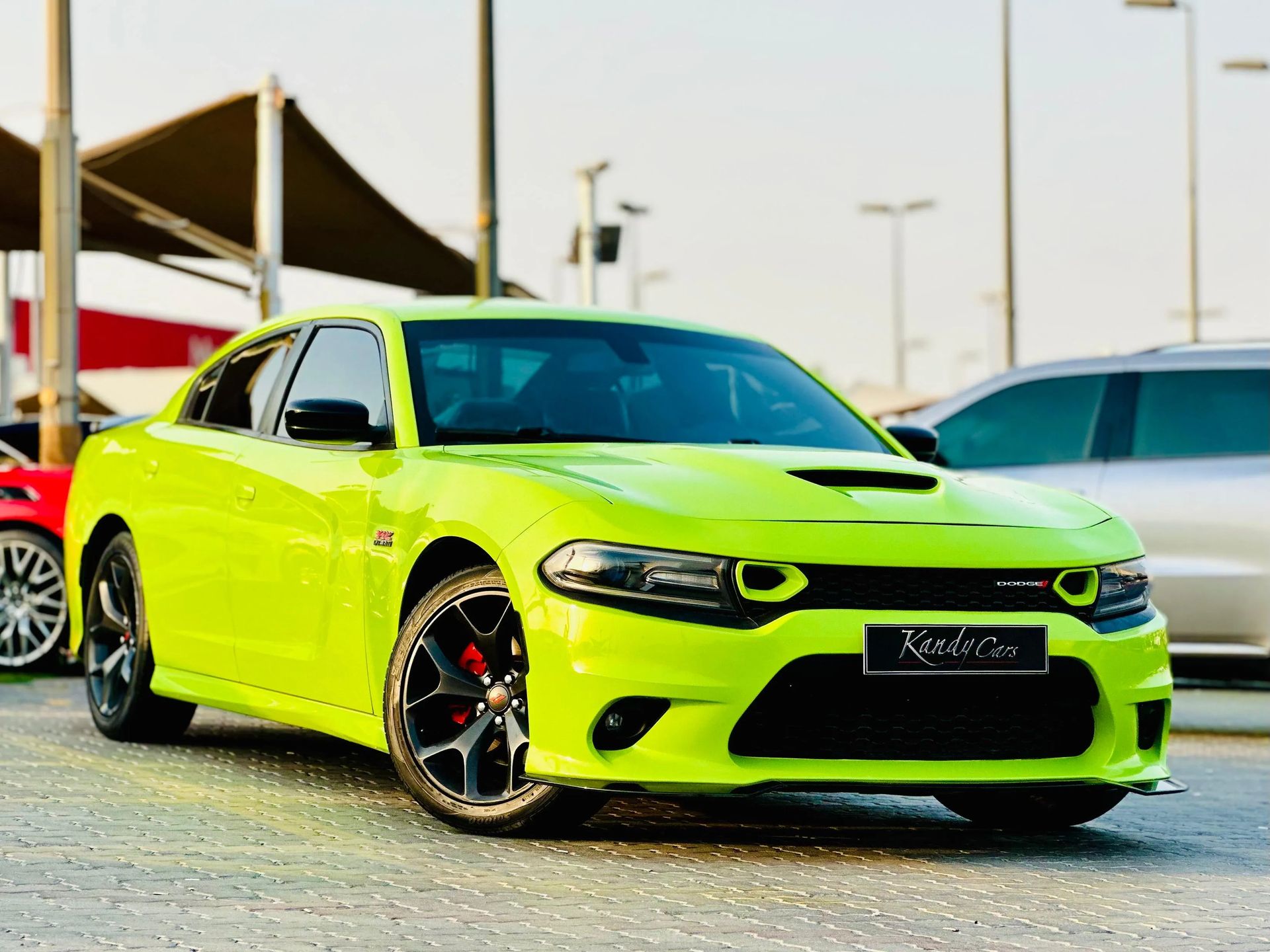 2019 Dodge Charger photo 3