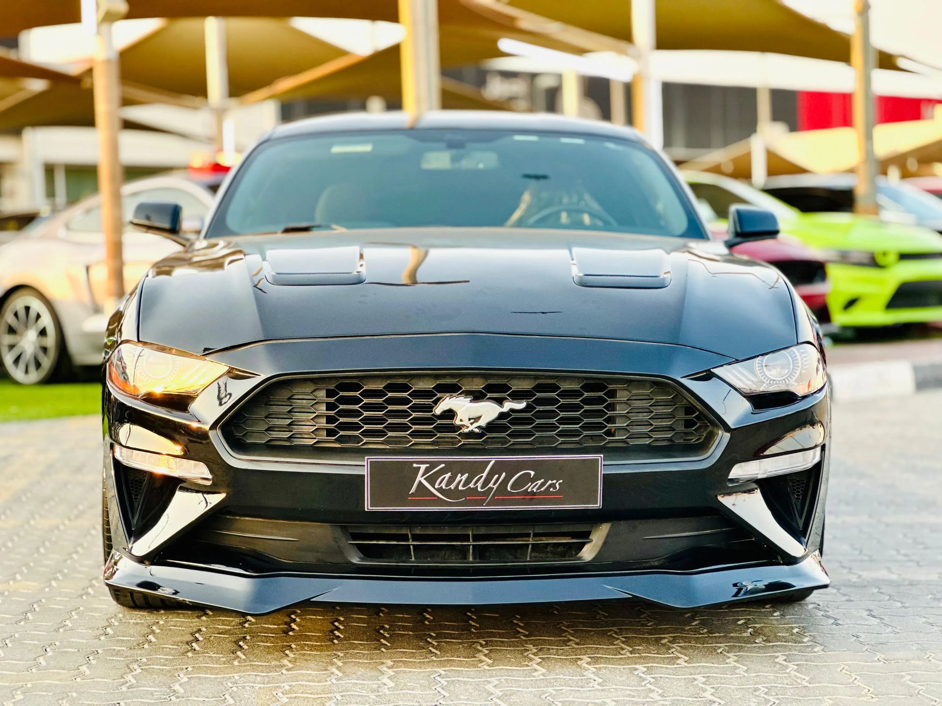 2019 Ford Mustang photo 2