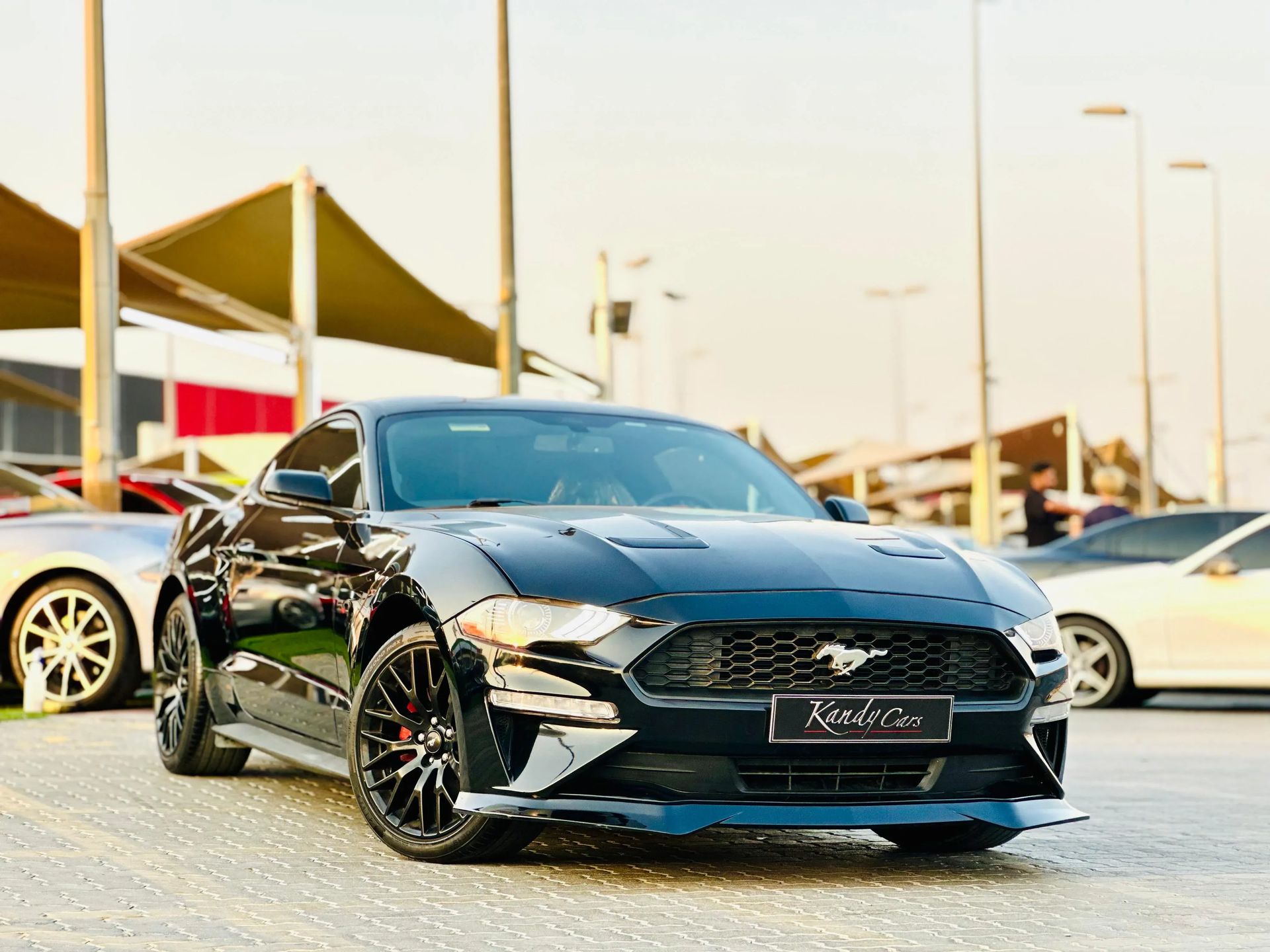 2019 Ford Mustang photo 3