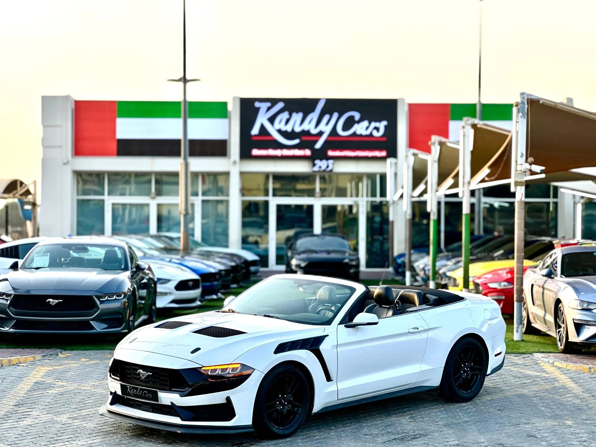 2019 Ford Mustang
