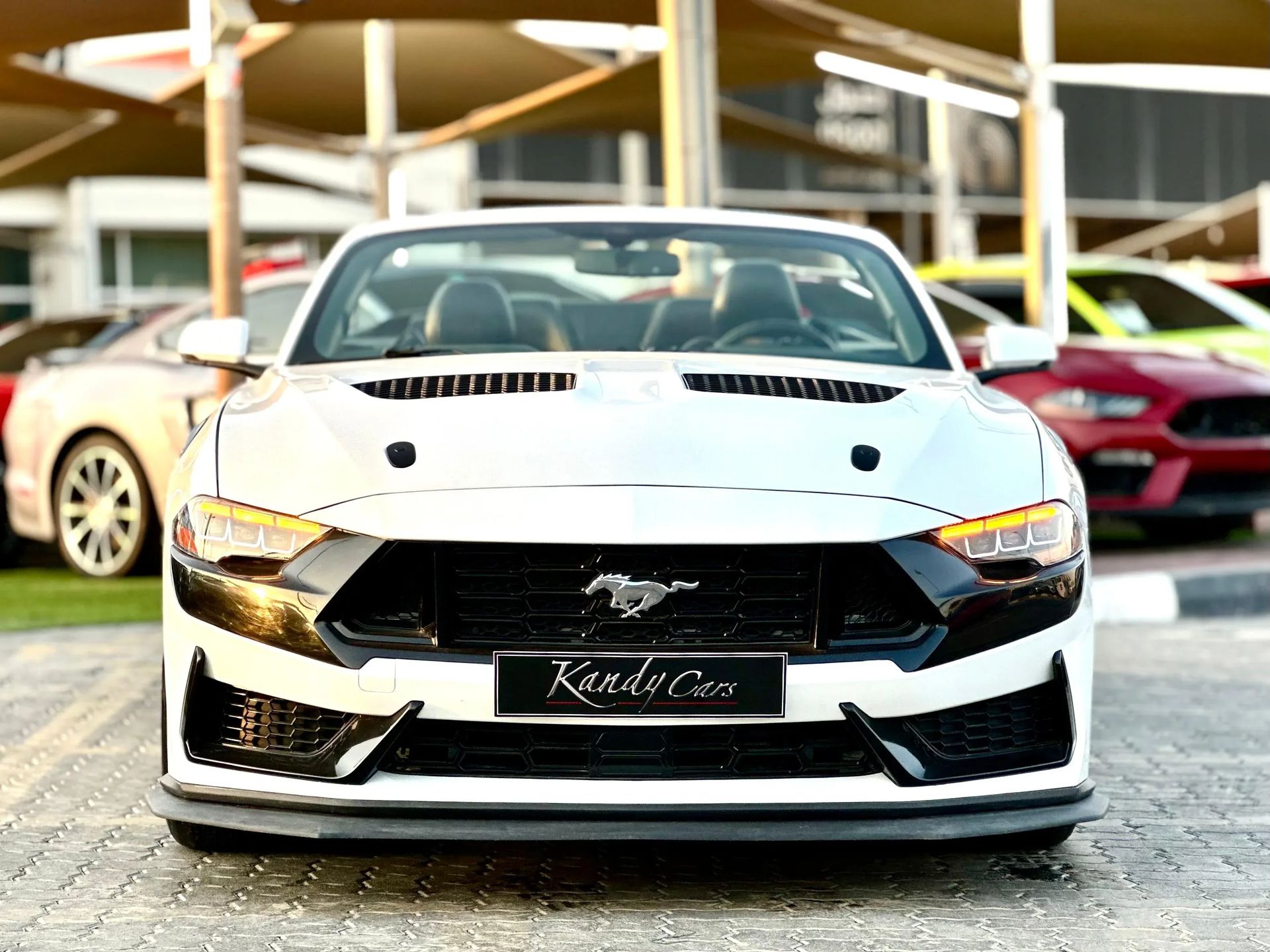2019 Ford Mustang photo 2