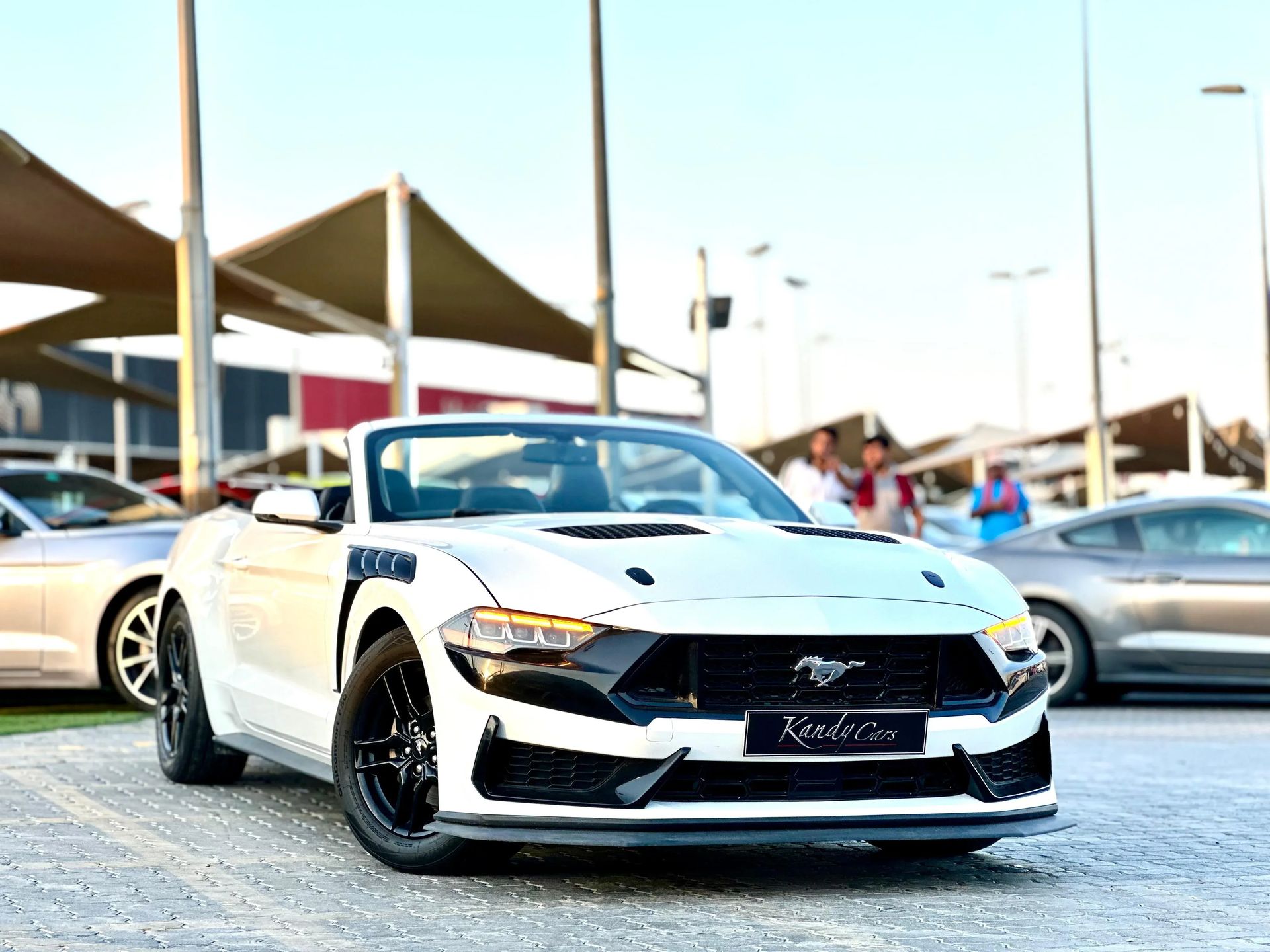 2019 Ford Mustang photo 3