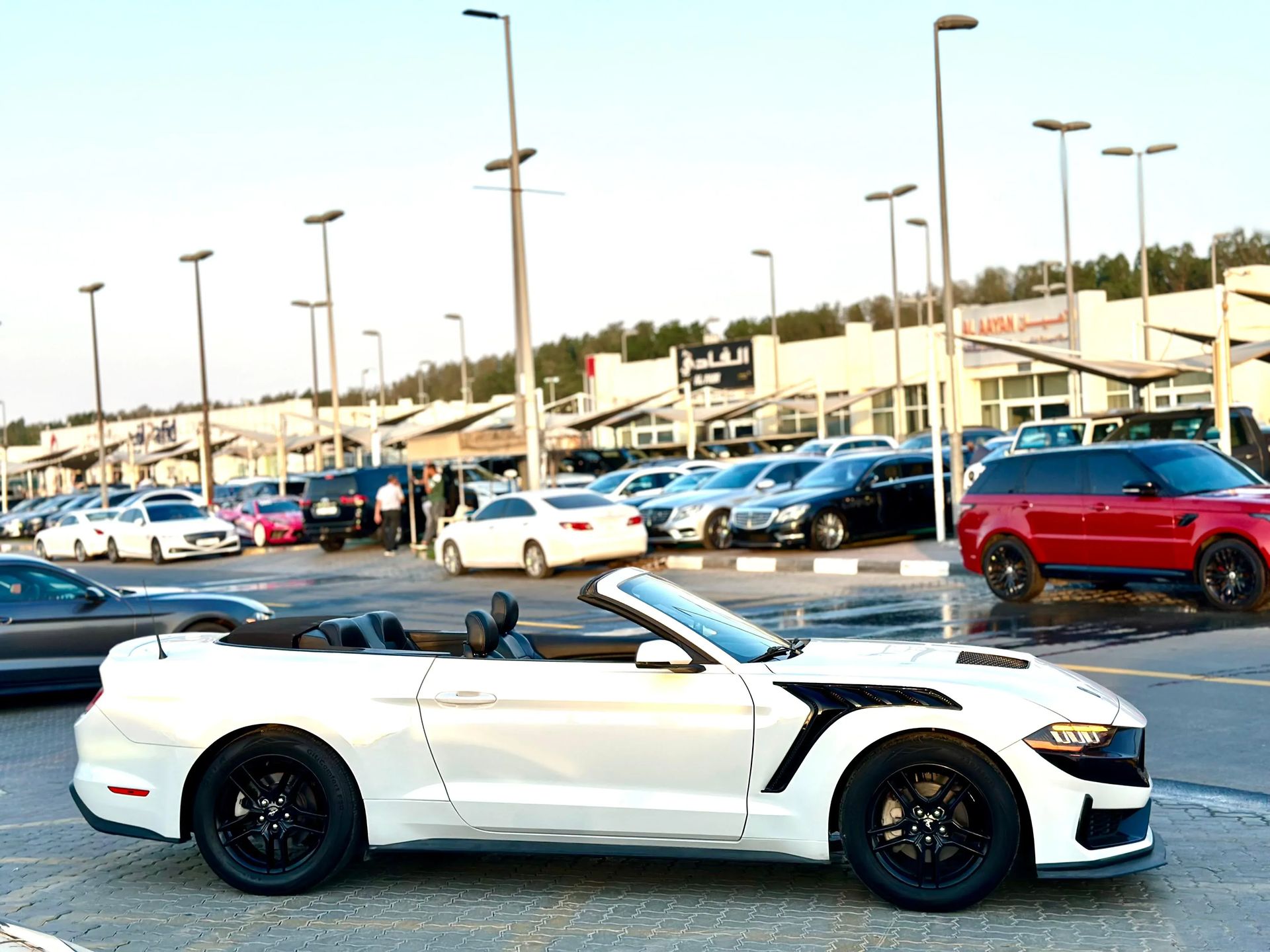 2019 Ford Mustang photo 4