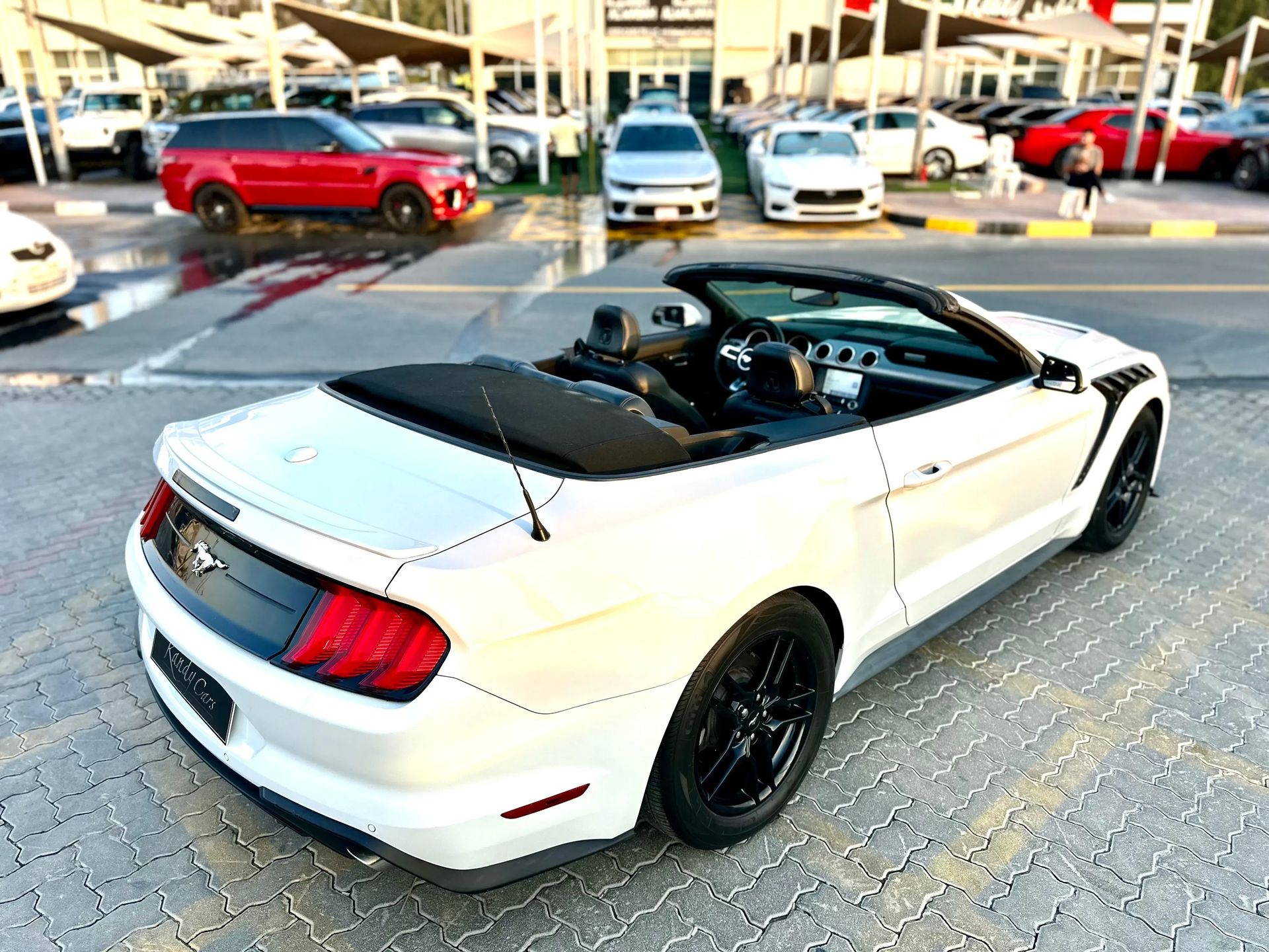 2019 Ford Mustang photo 5