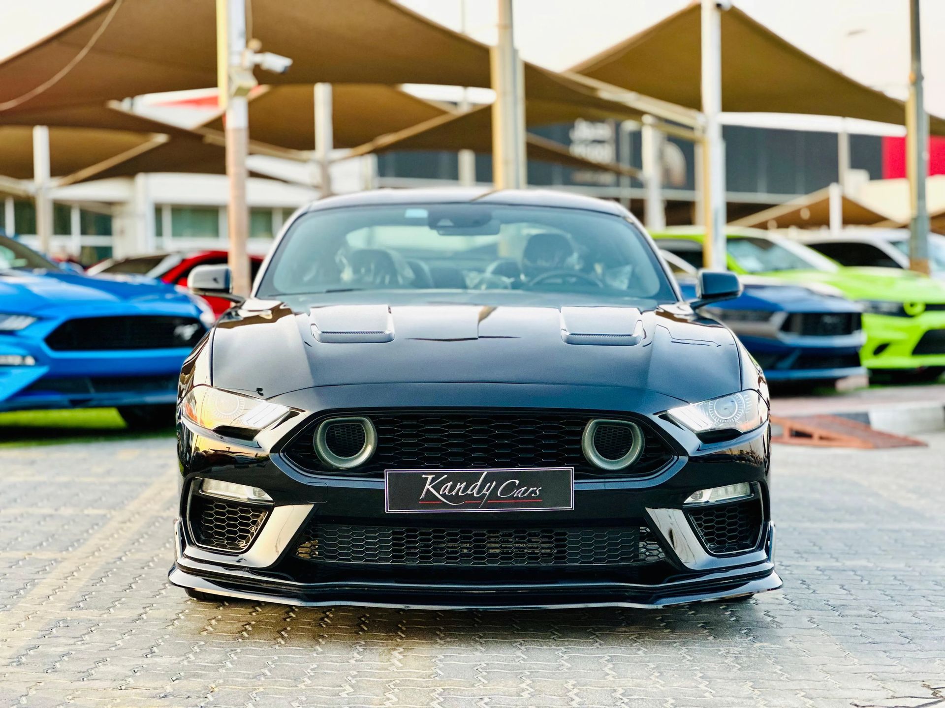 2019 Ford Mustang photo 2