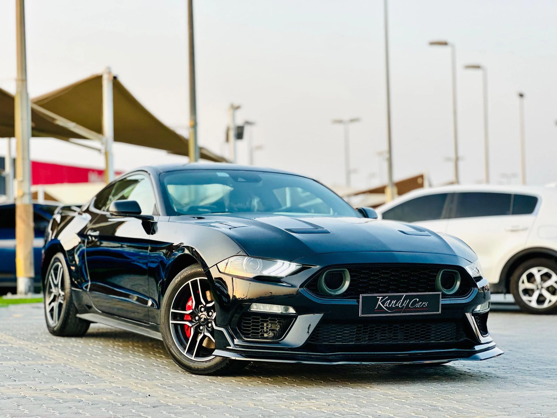 2019 Ford Mustang photo 3