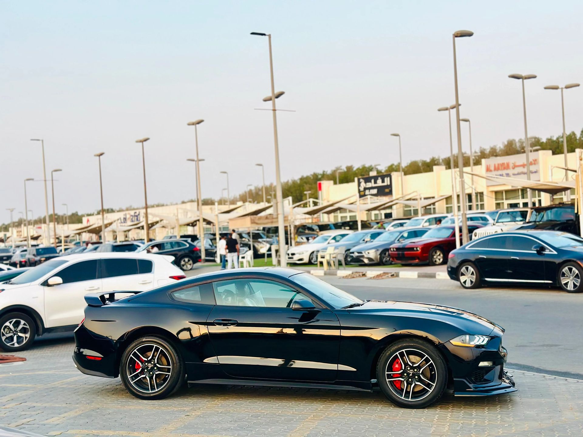 2019 Ford Mustang photo 4