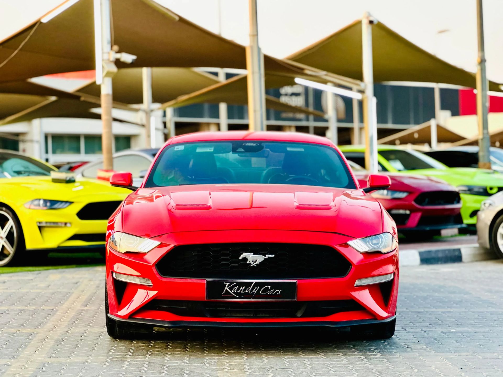 2022 Ford Mustang photo 2