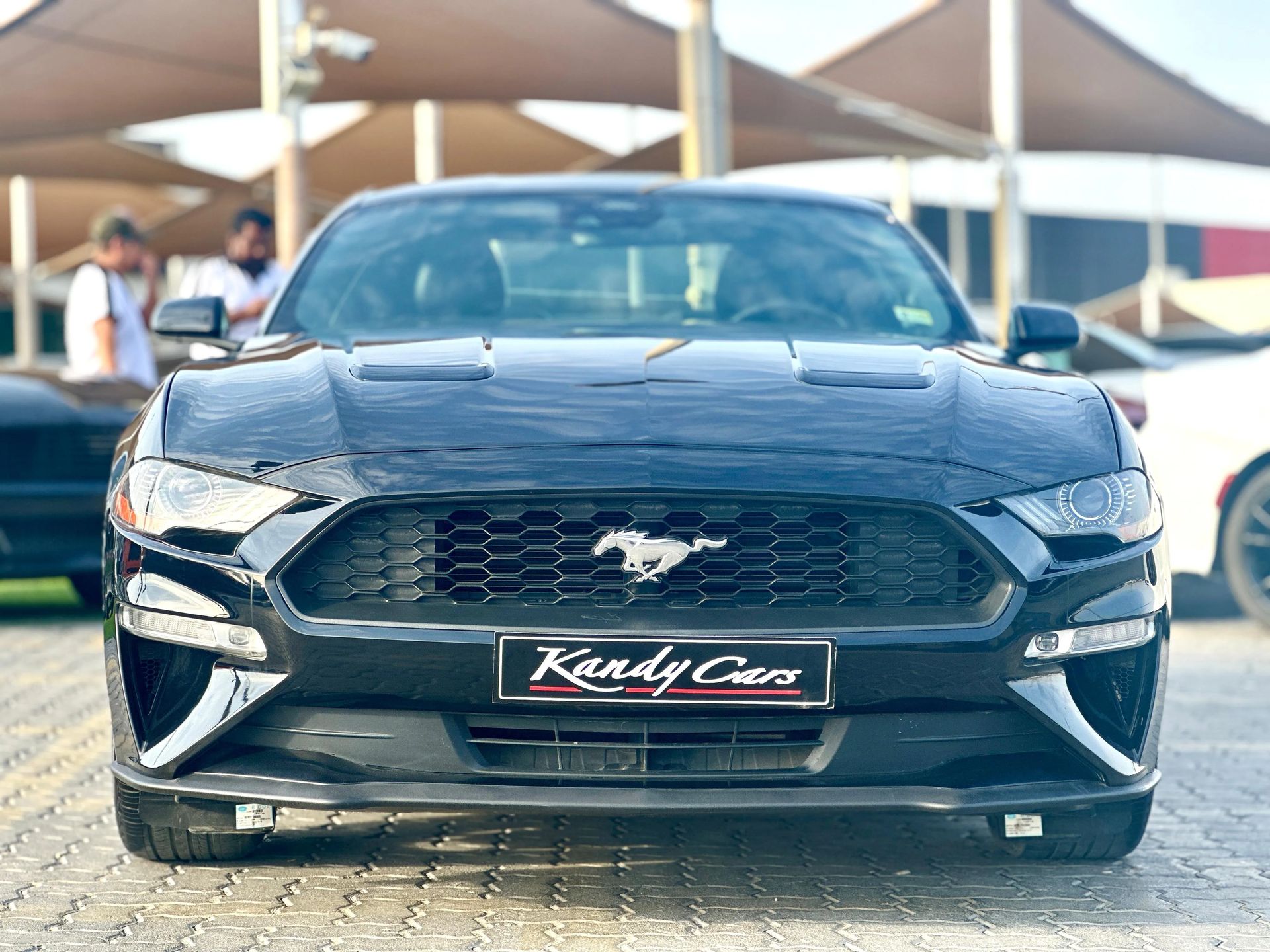 2022 Ford Mustang photo 2