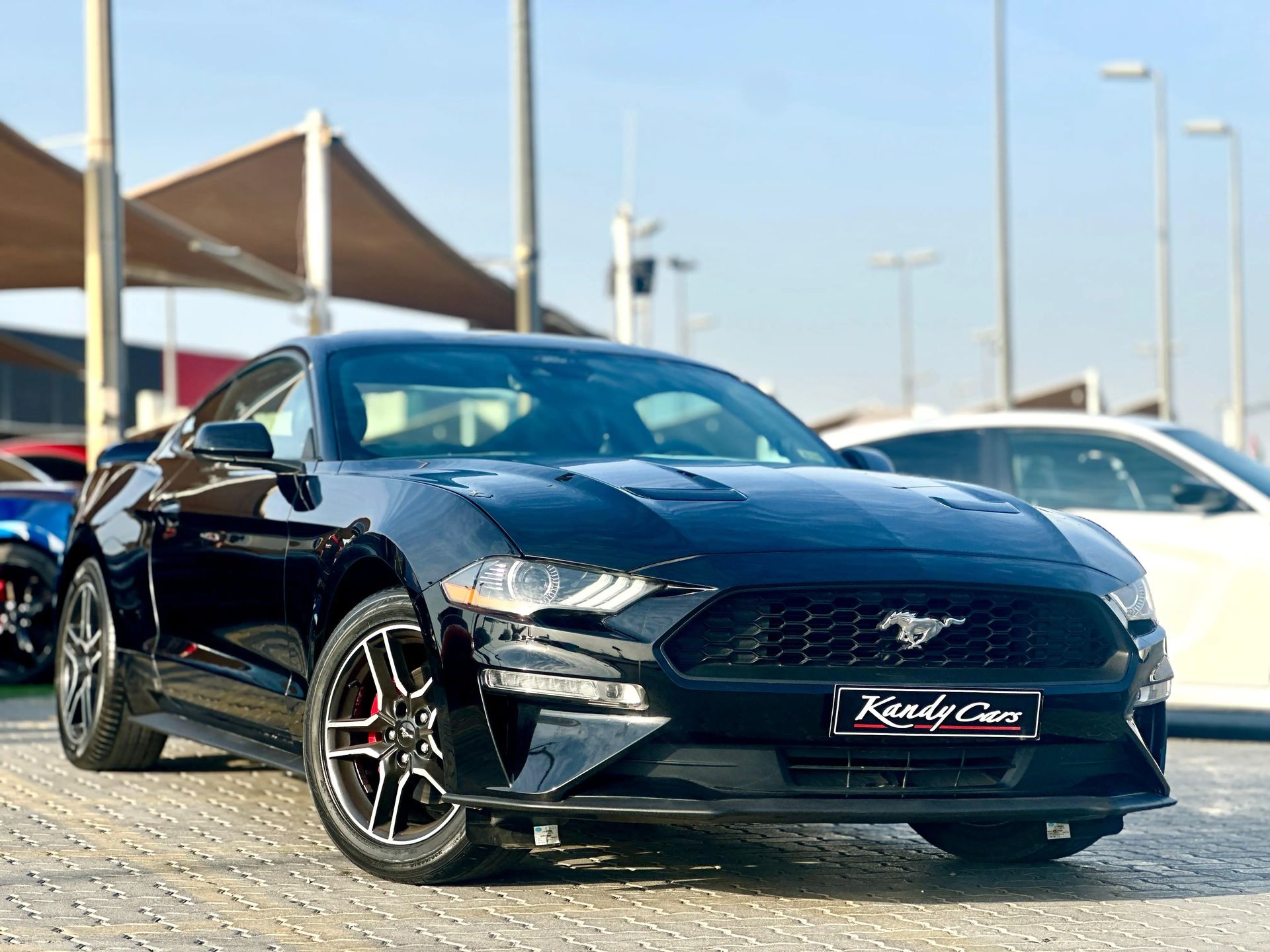 2022 Ford Mustang photo 3
