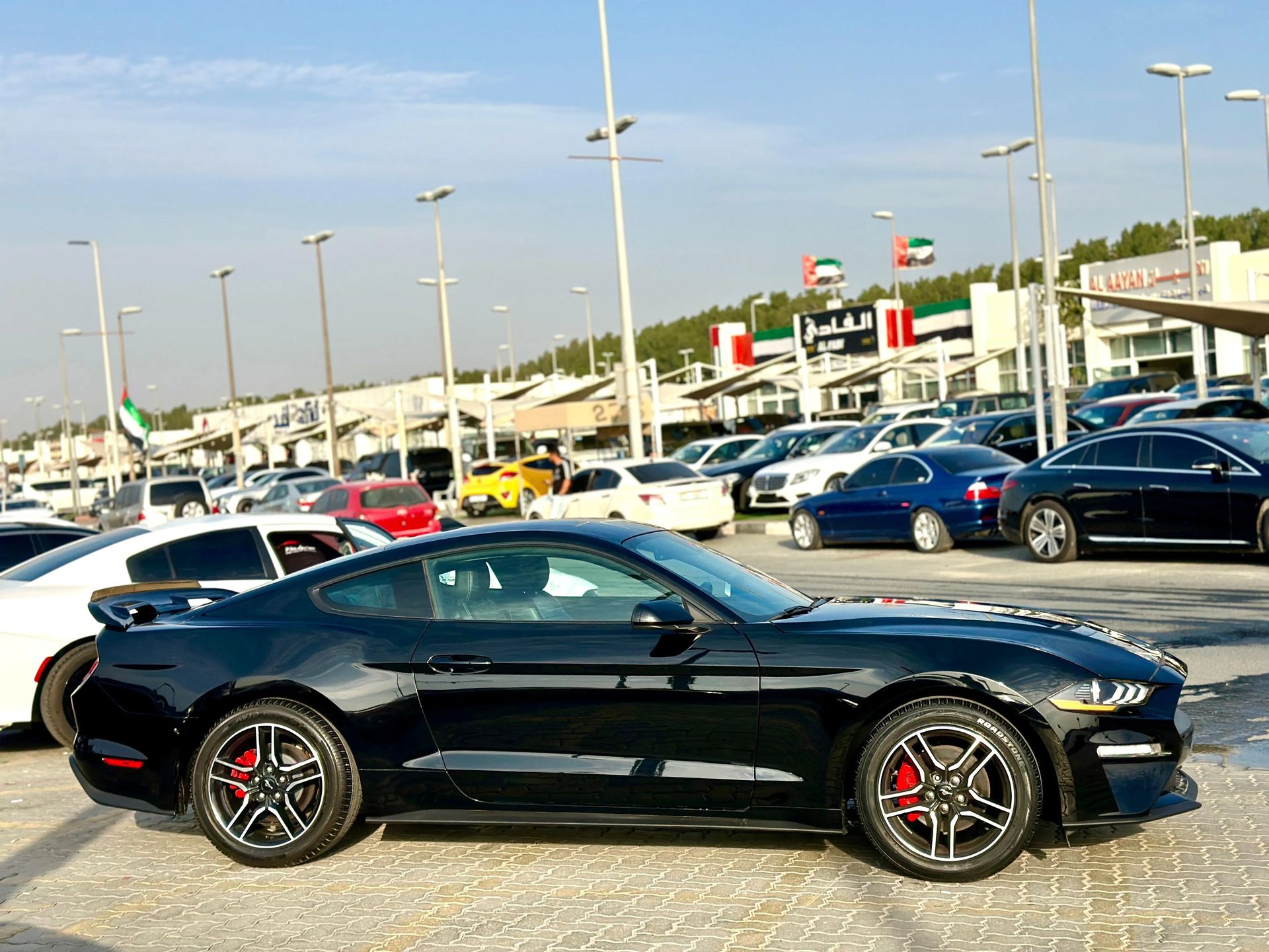 2022 Ford Mustang photo 4