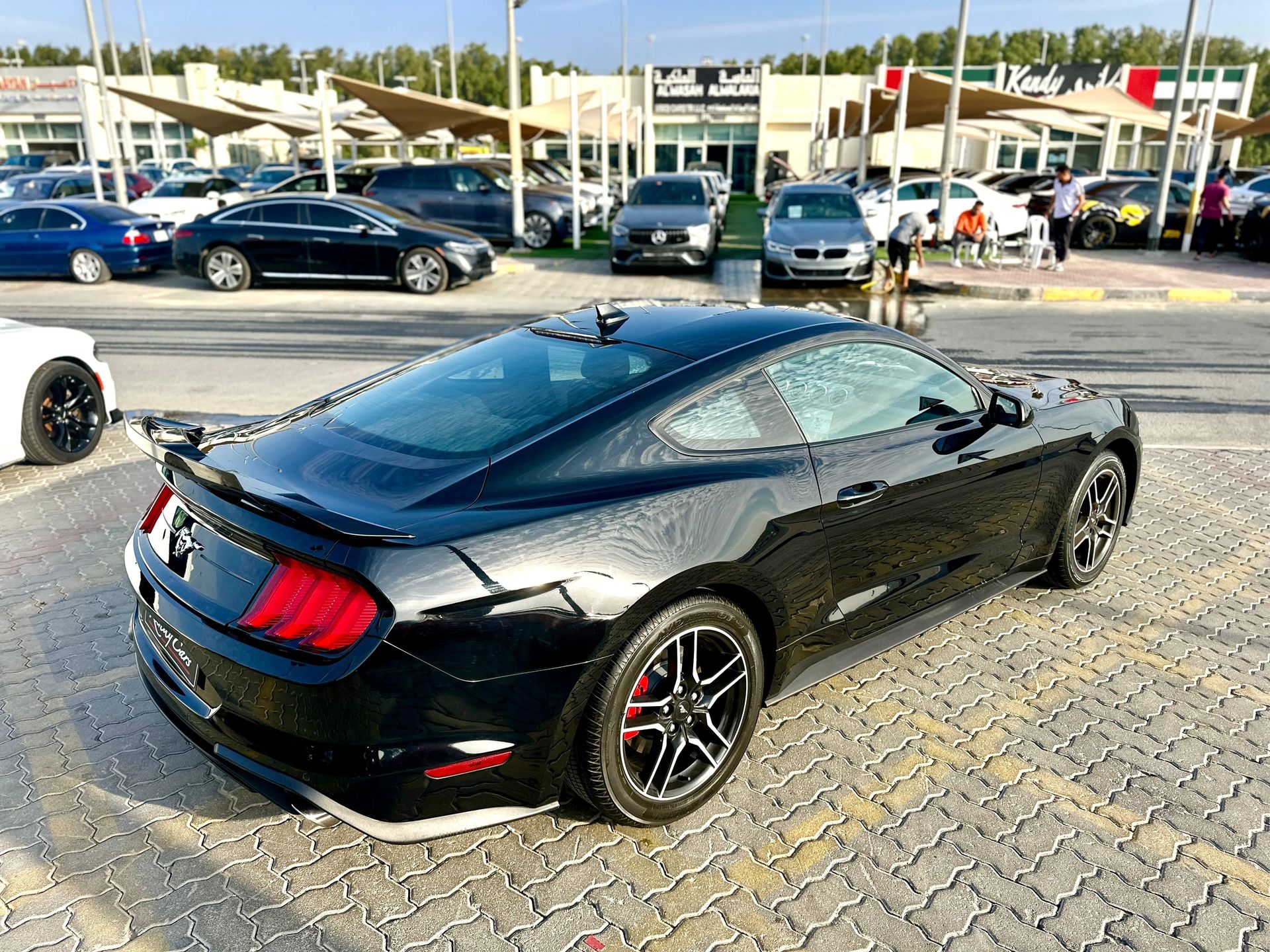 2022 Ford Mustang photo 5