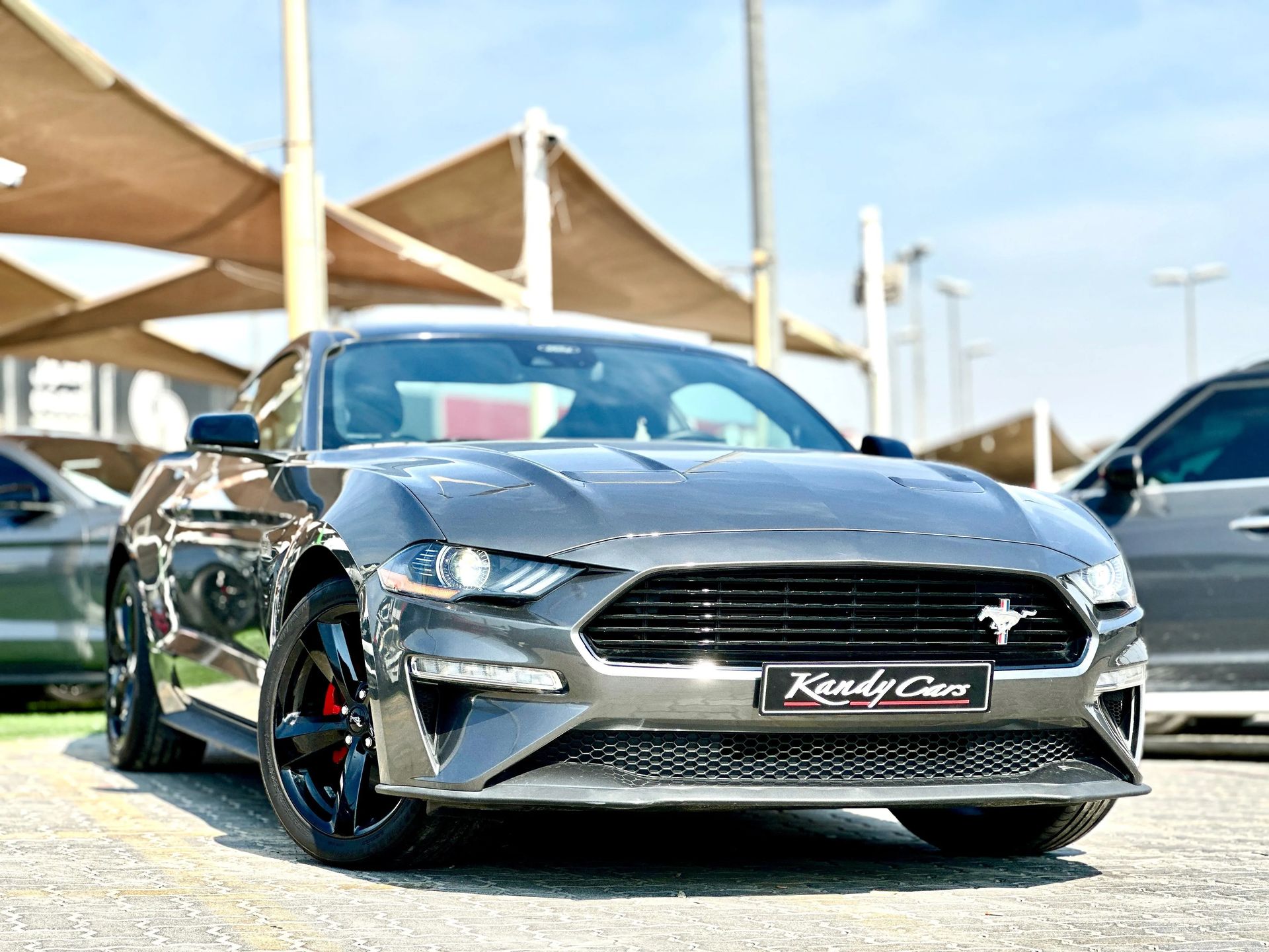 2022 Ford Mustang photo 3