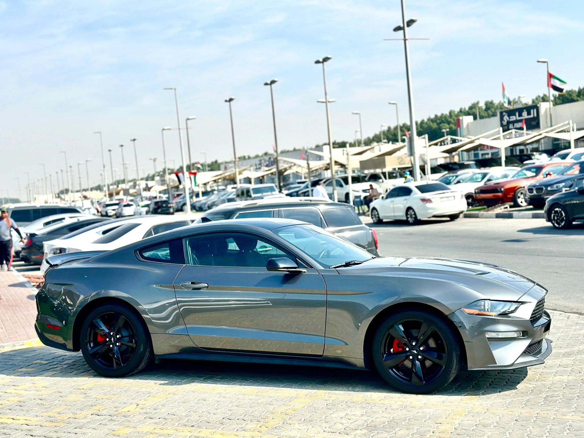 2022 Ford Mustang photo 4