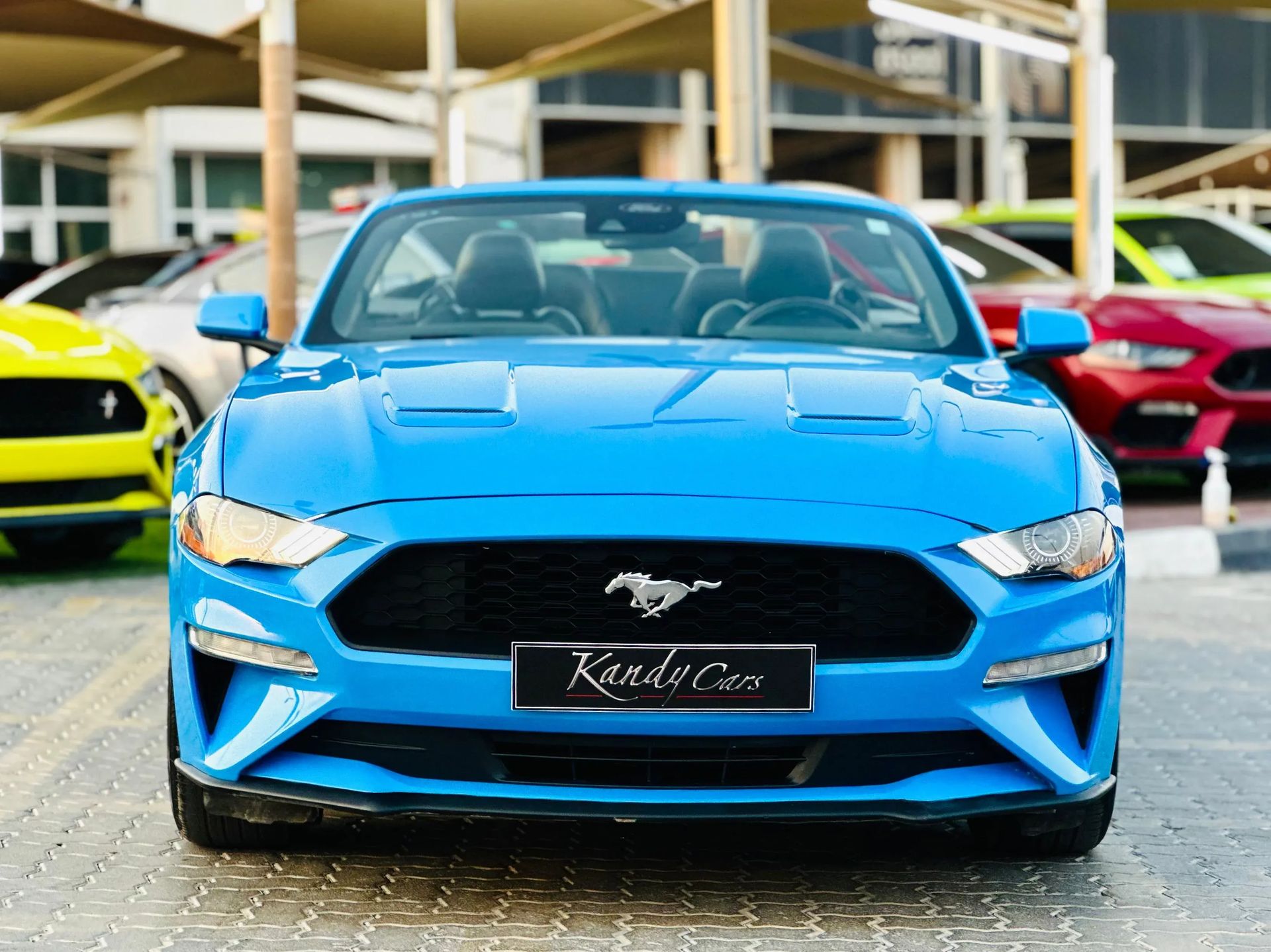 2022 Ford Mustang photo 2