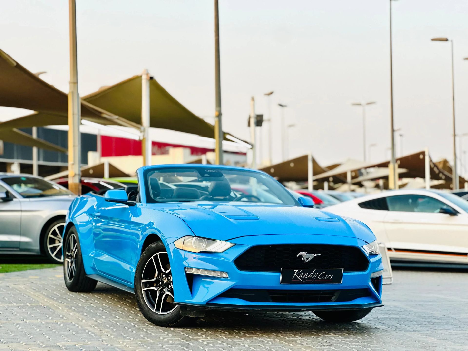2022 Ford Mustang photo 3