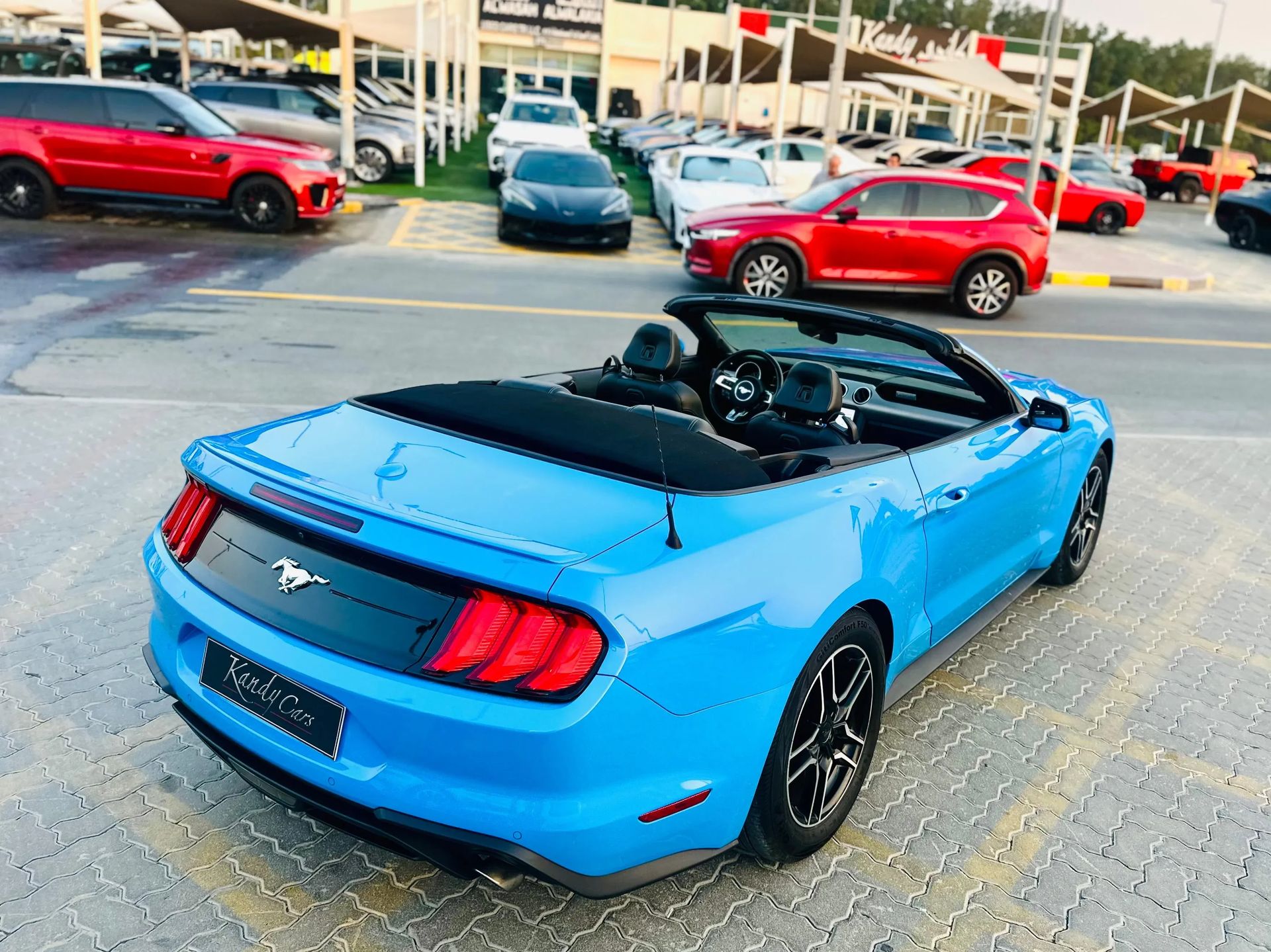 2022 Ford Mustang photo 5