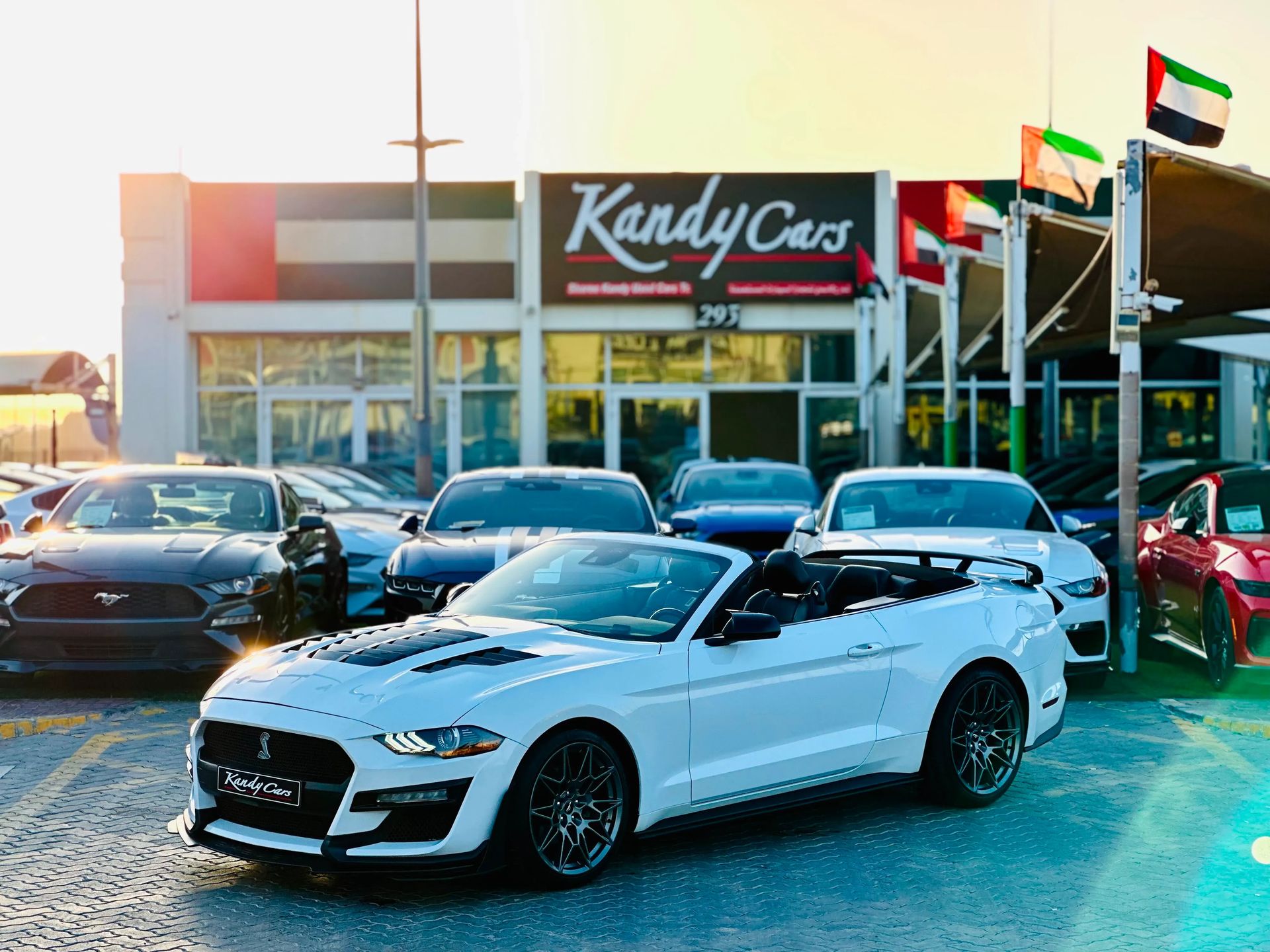 2022 Ford Mustang