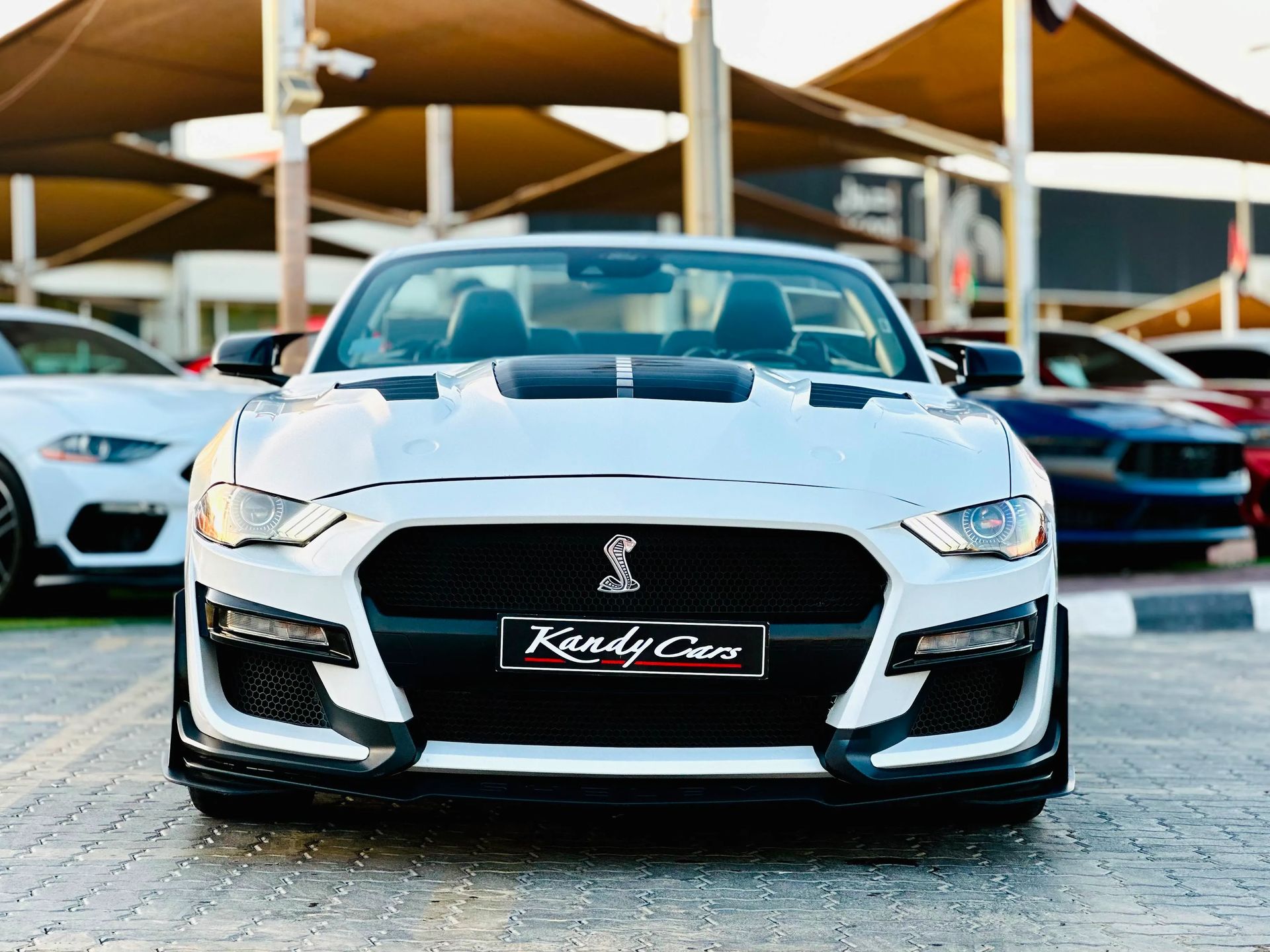 2022 Ford Mustang photo 2