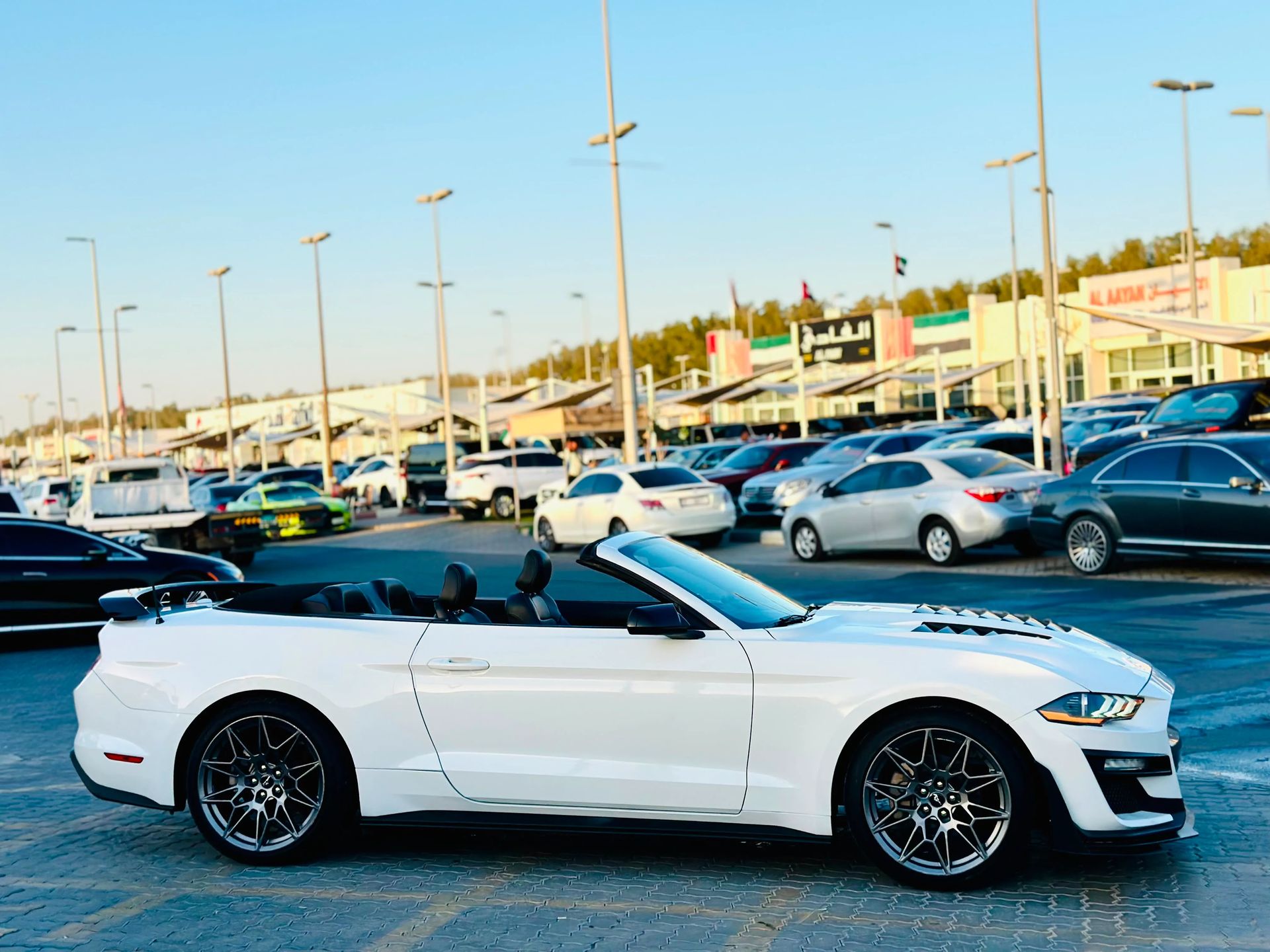 2022 Ford Mustang photo 4