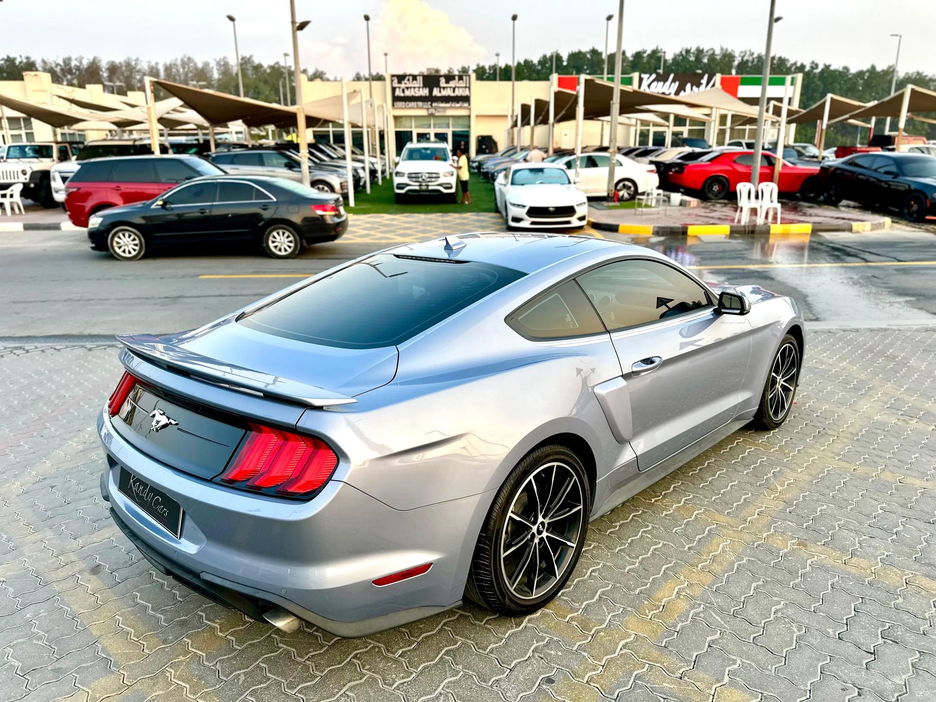 2022 Ford Mustang photo 5