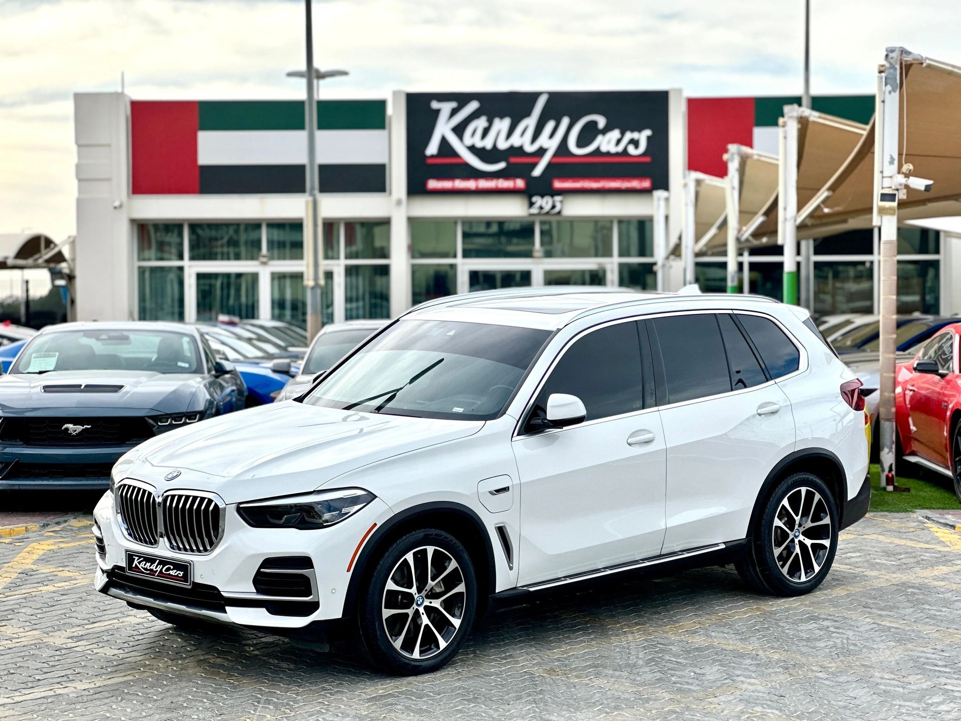 2023 BMW X5