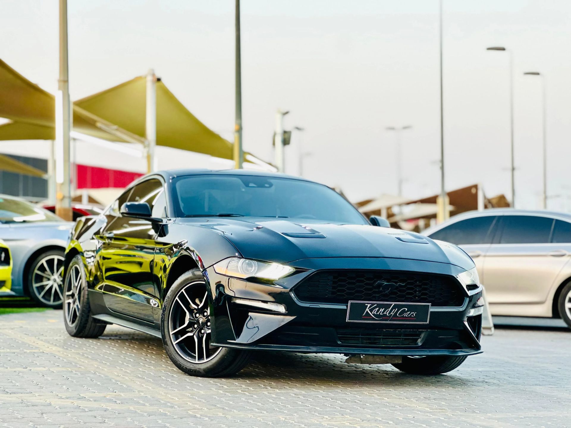 2023 Ford Mustang photo 3